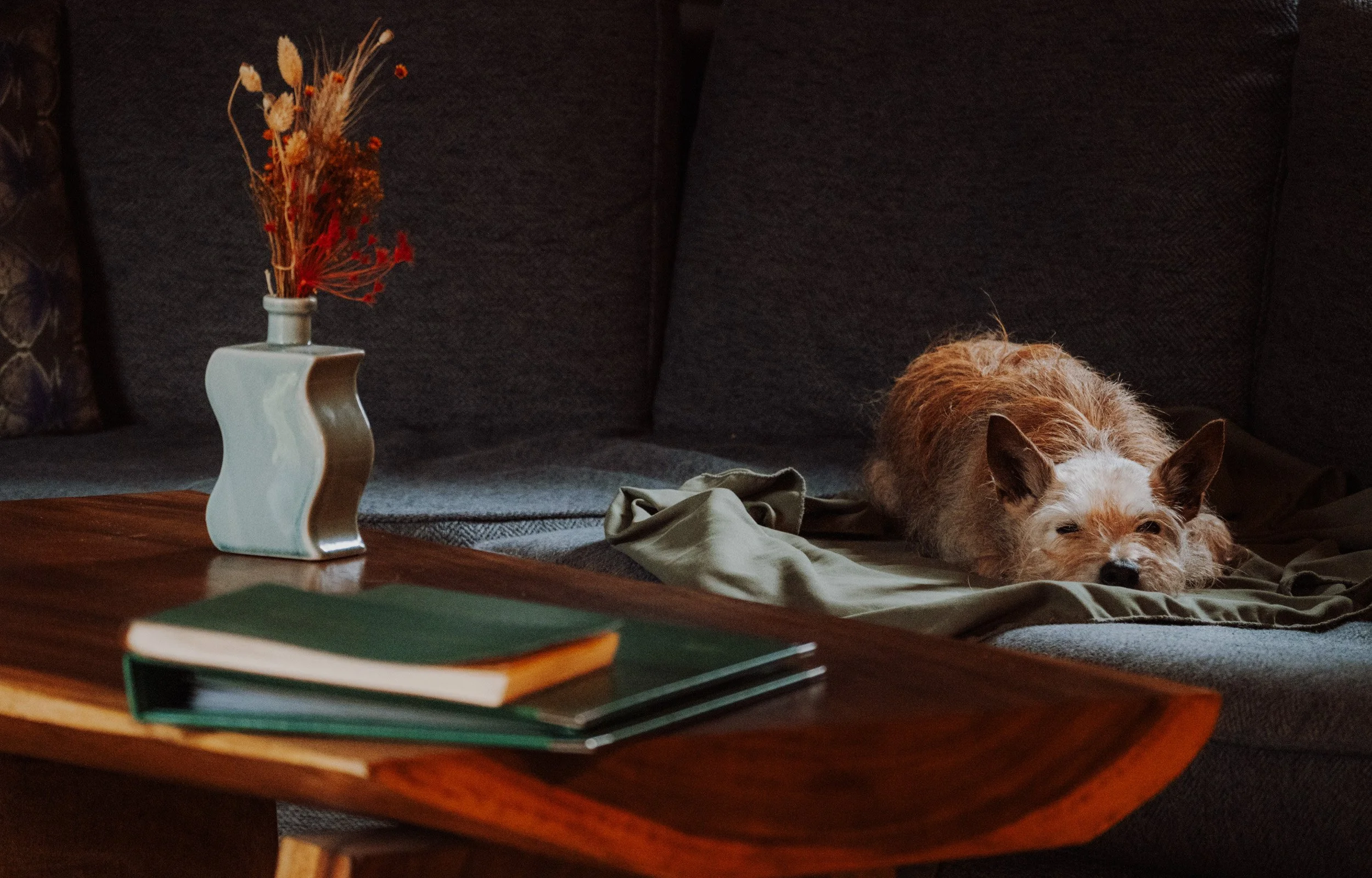 Burnbake Lodge - DSCF8163.jpg