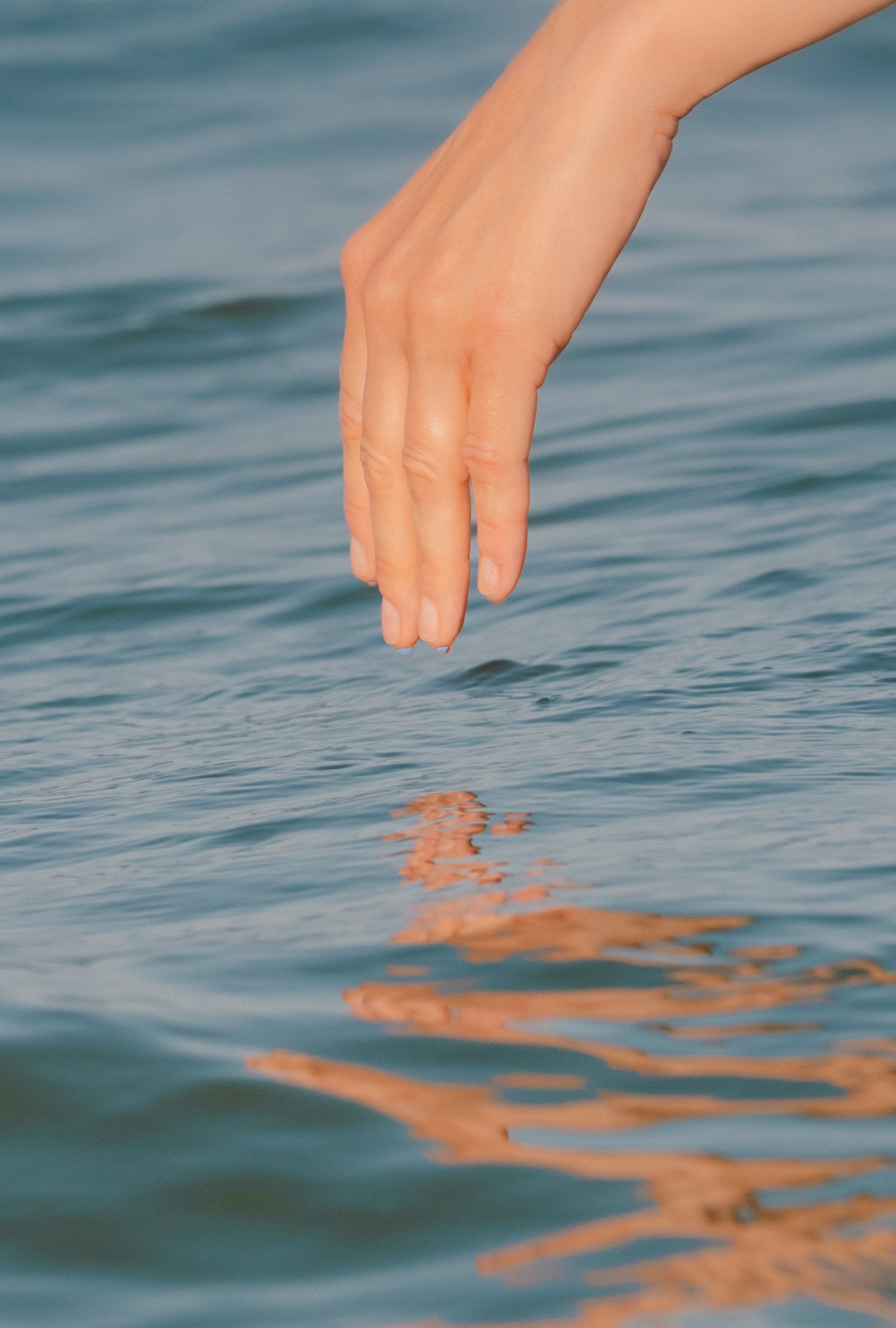 DSCF8785.jpg