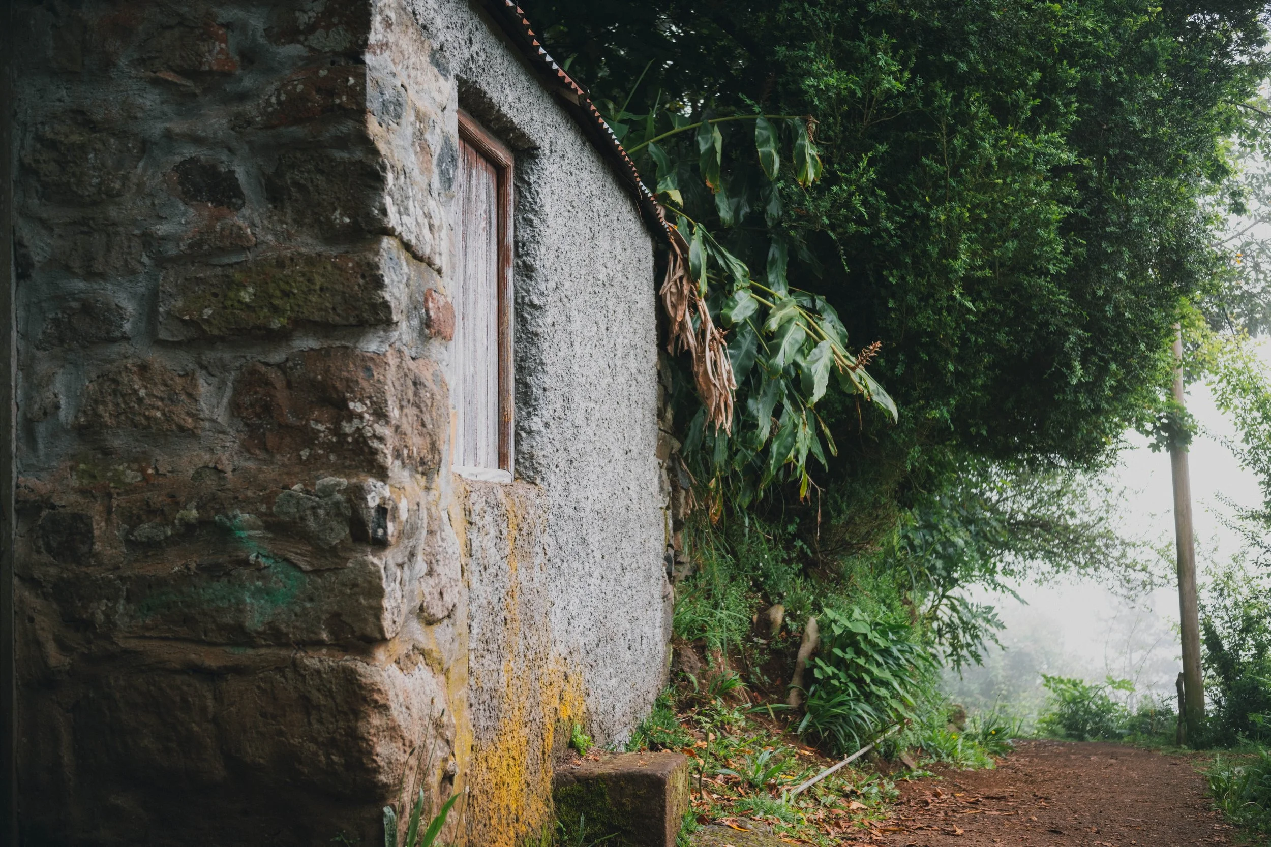 Madeira portfolio madeira-9582.jpg