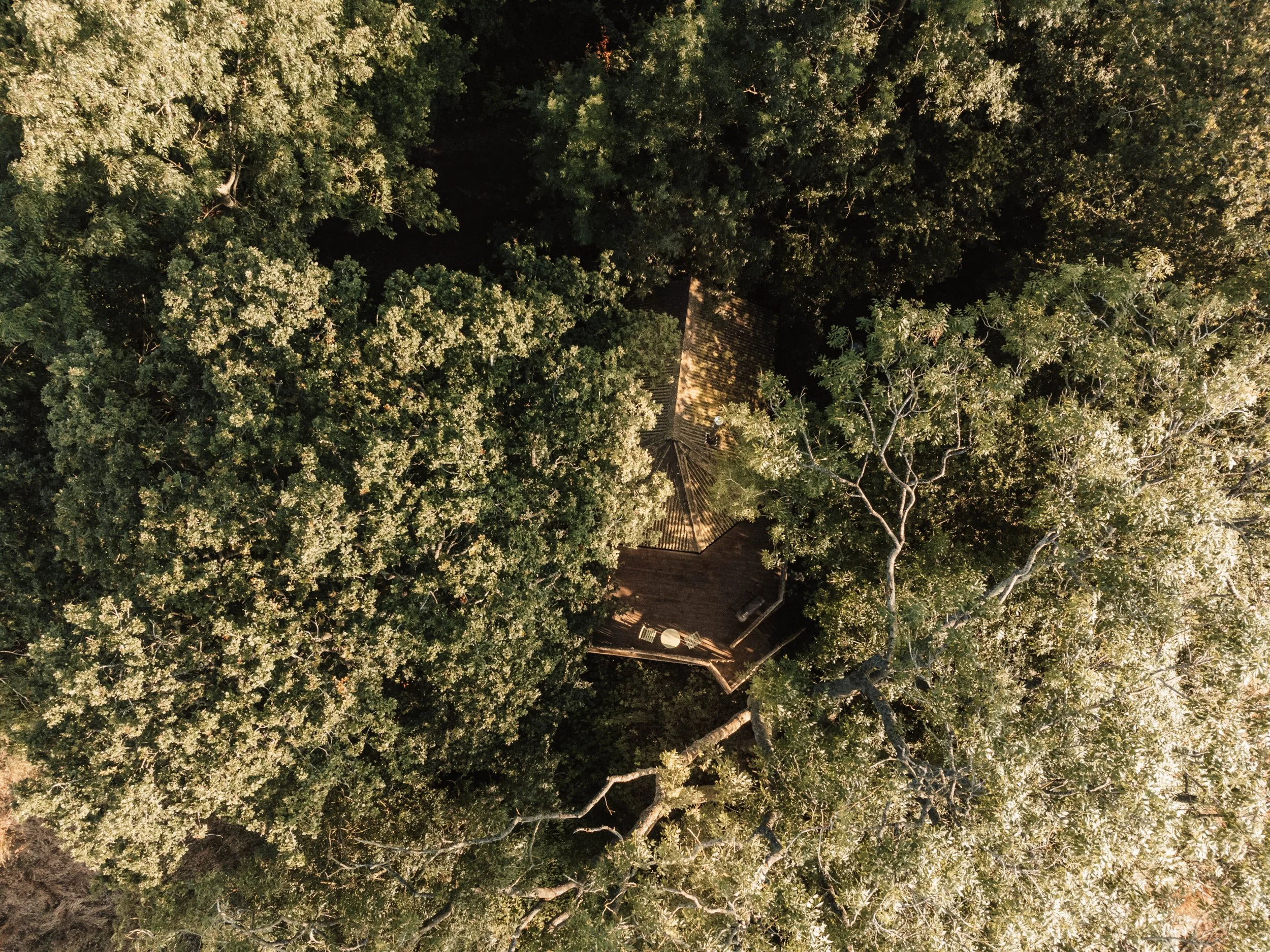 Brook House - DJI_0014.jpg