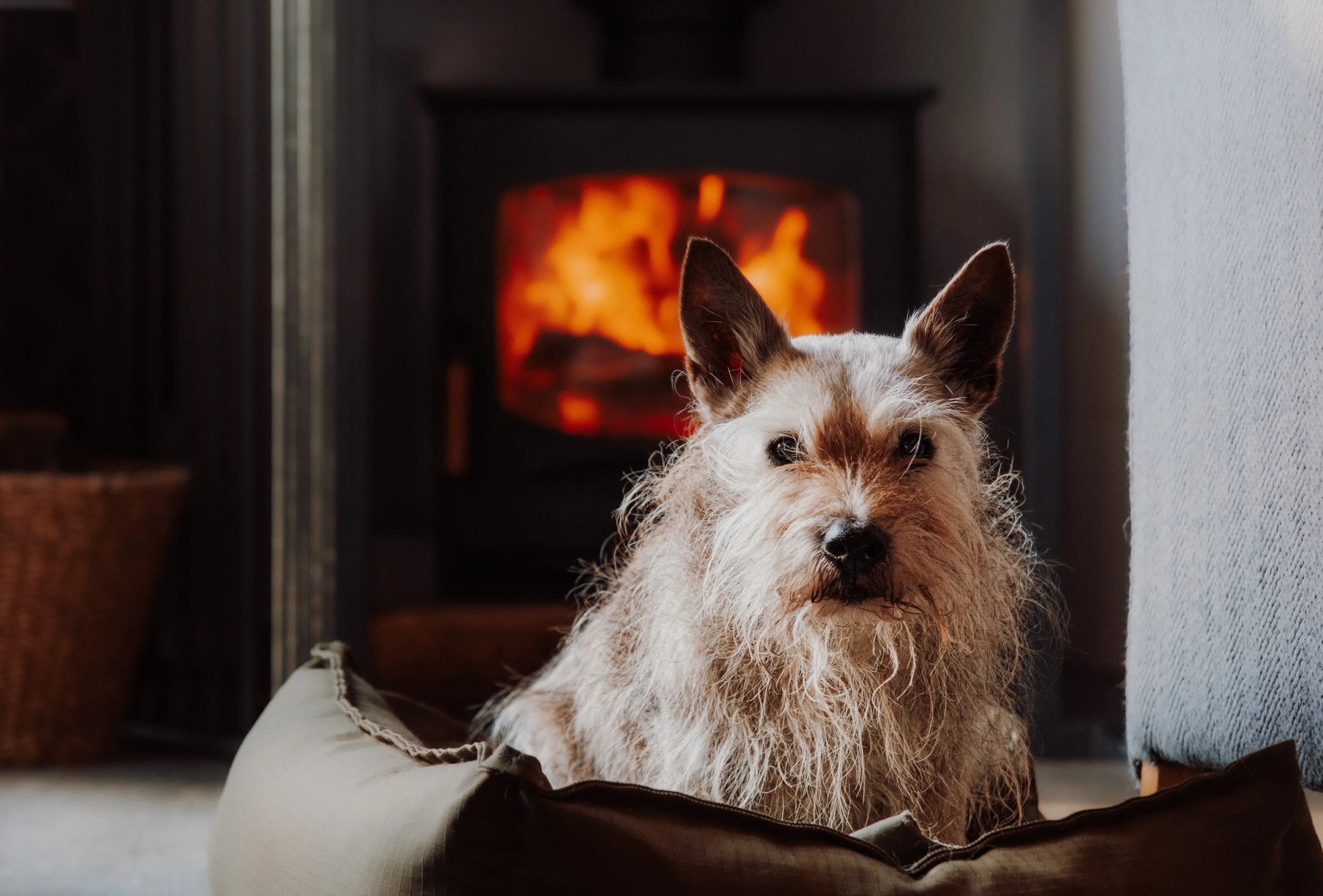 Burnbake Lodge - DSCF8439.jpg