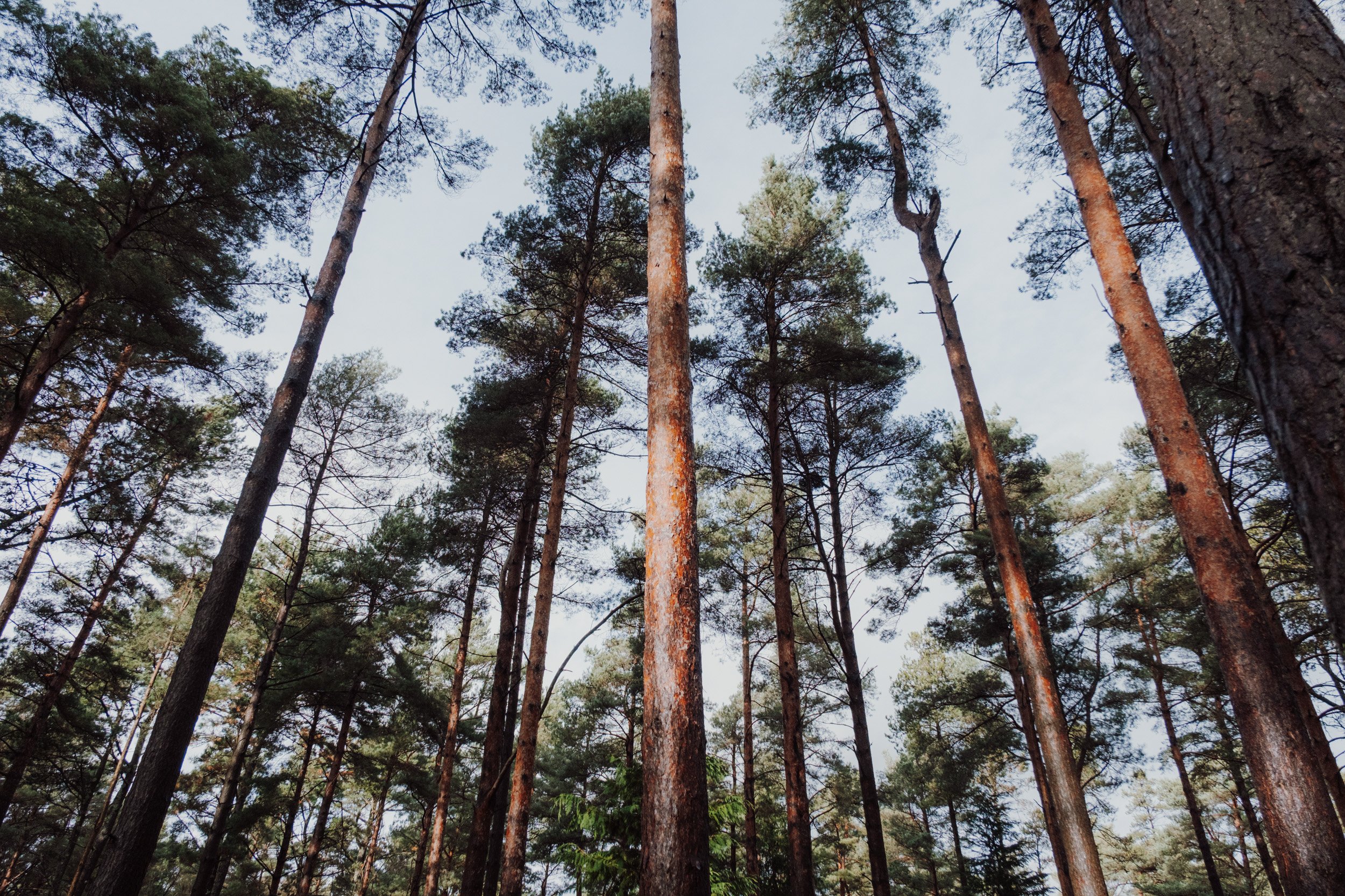 Burnbake Lodge - DSCF8330.jpg