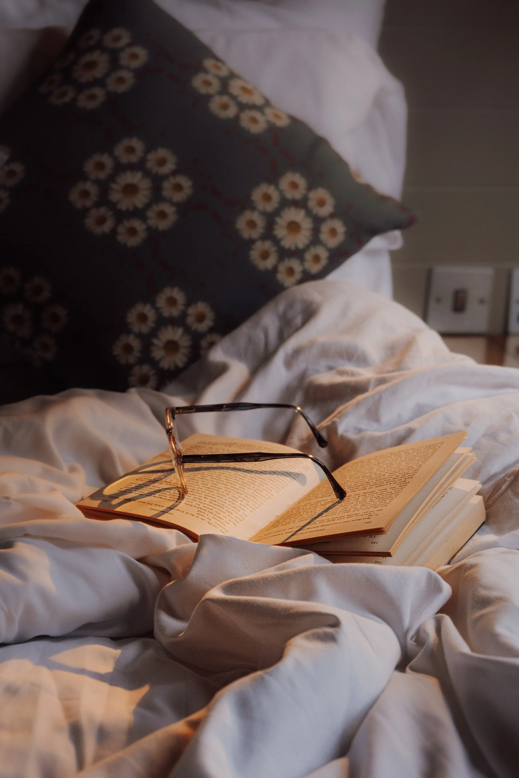 Burnbake Lodge - DSCF8343.jpg