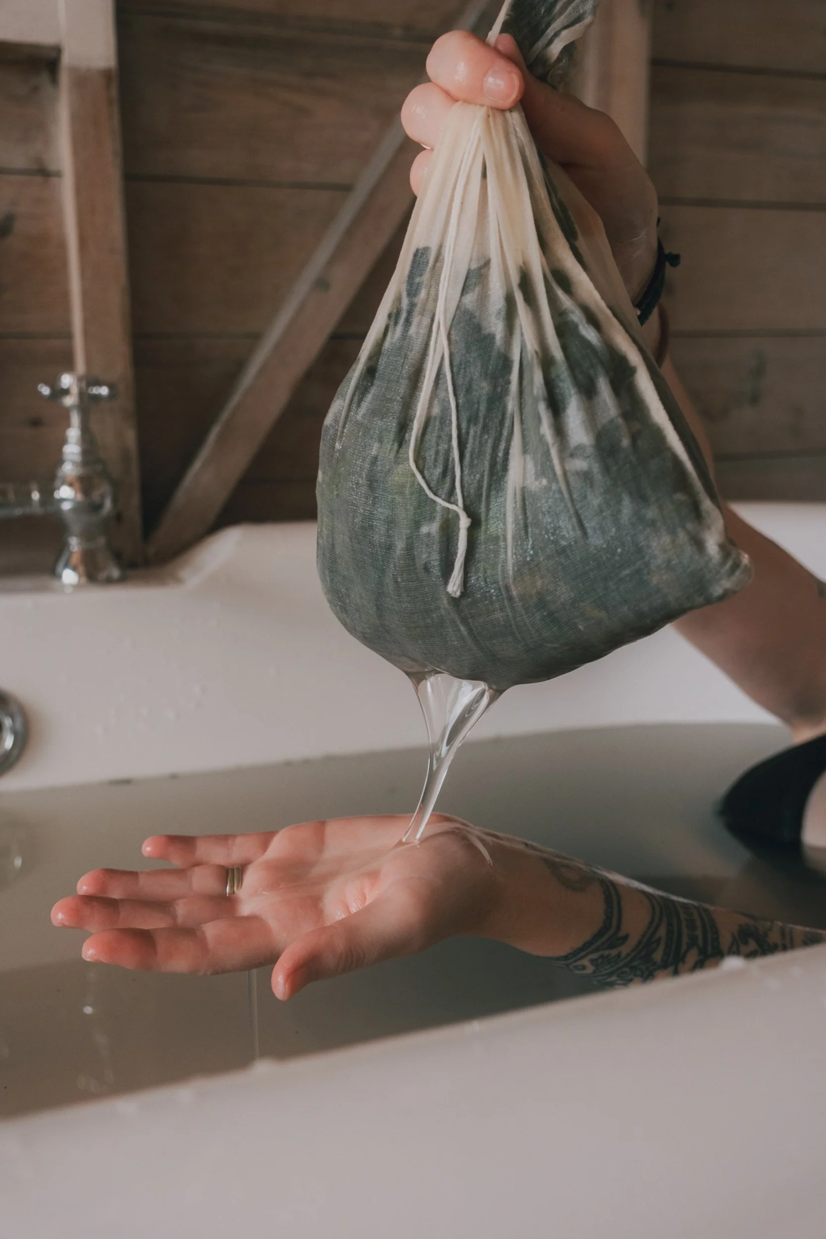 Saeweed DSCF6241.jpg