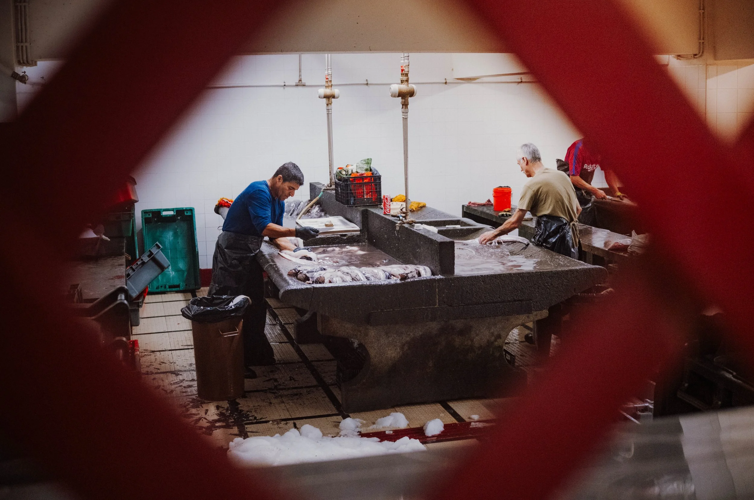 Visit Madeira - Madeira portfolio DSCF9081.jpg