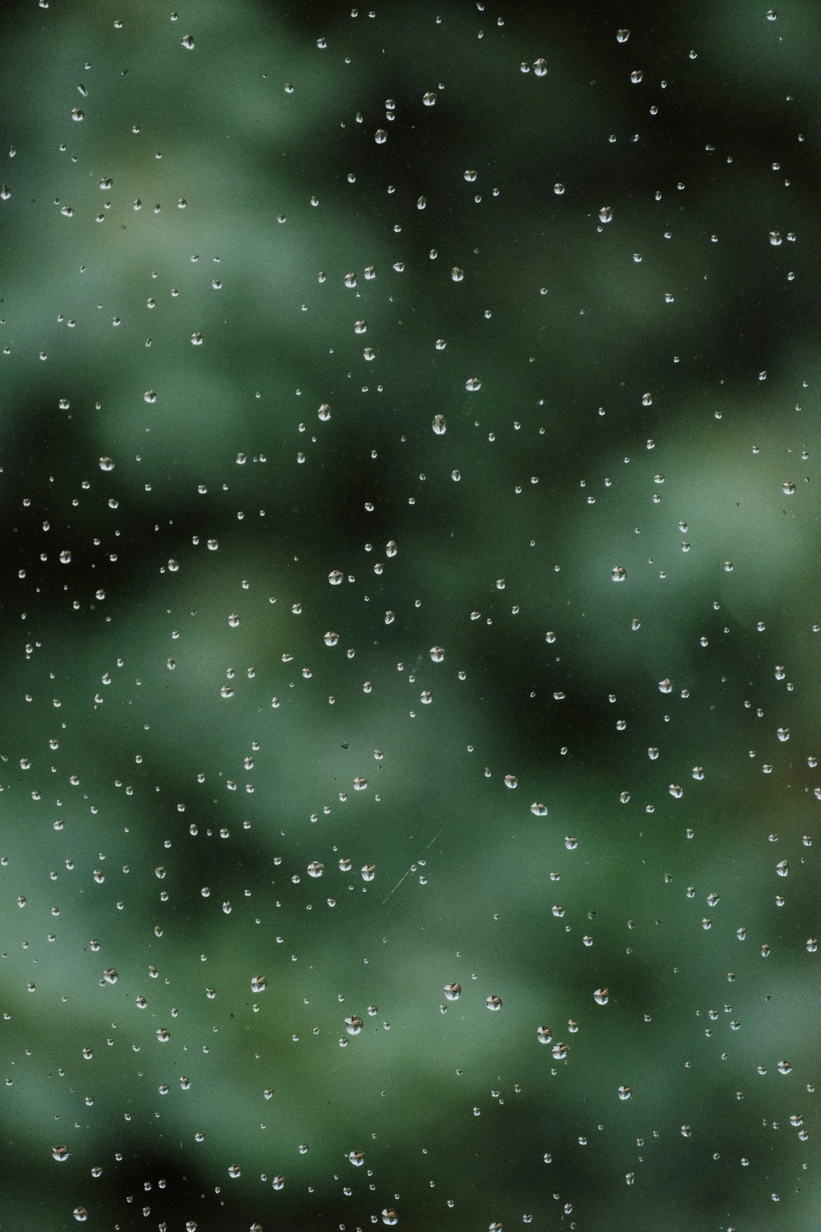 Burnbake Lodge - DSCF8172.jpg