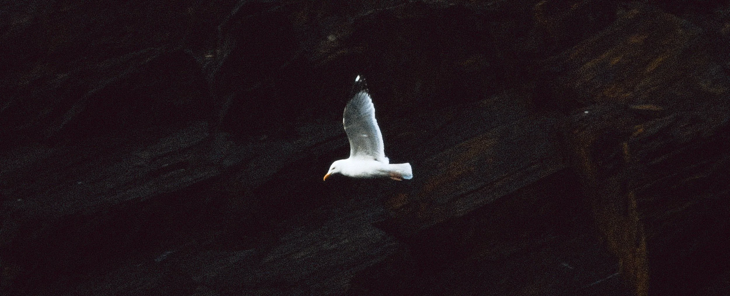 DSCF7365.jpg