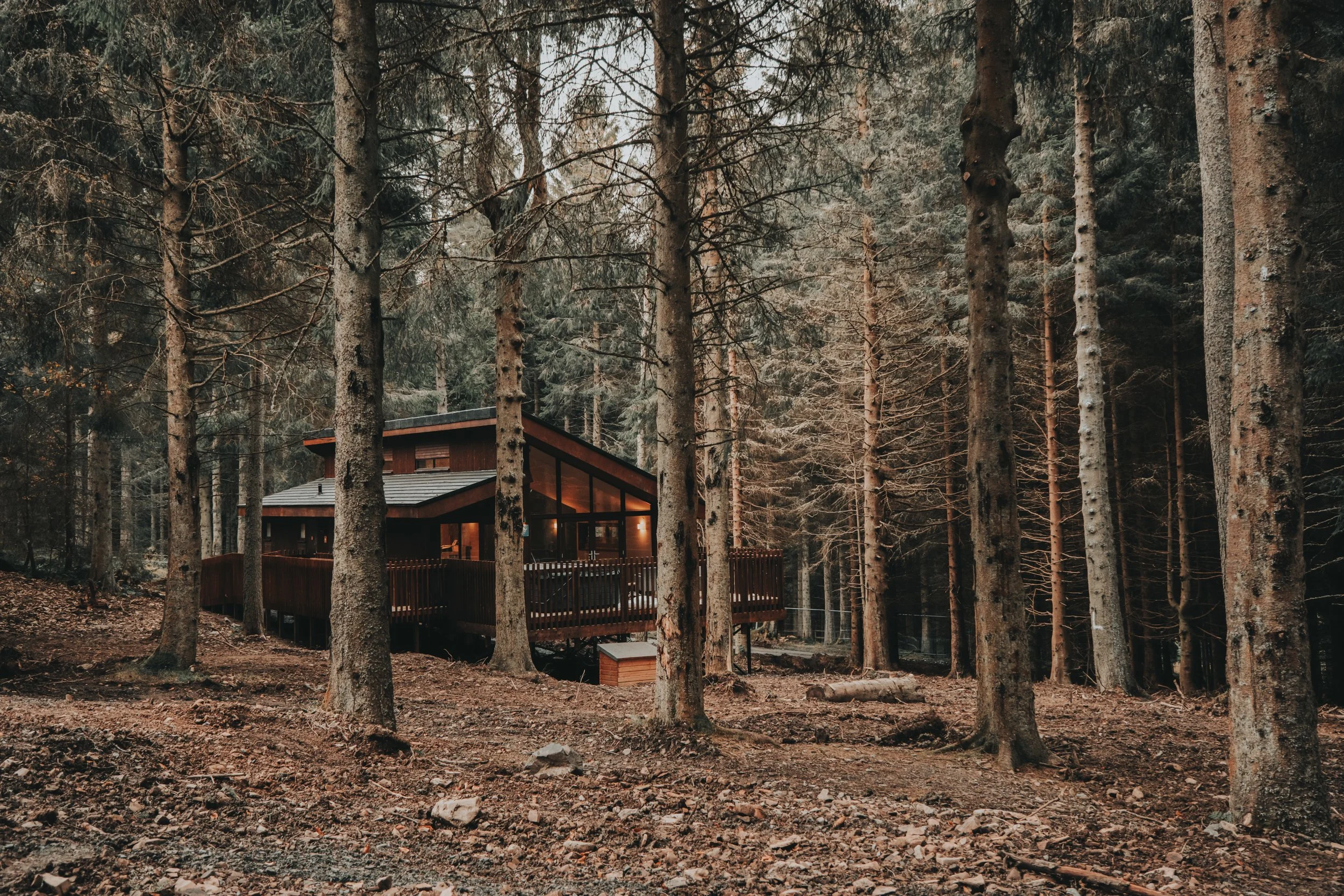 Forest Holidays - FH Low ResresizeDSCF6726.jpg