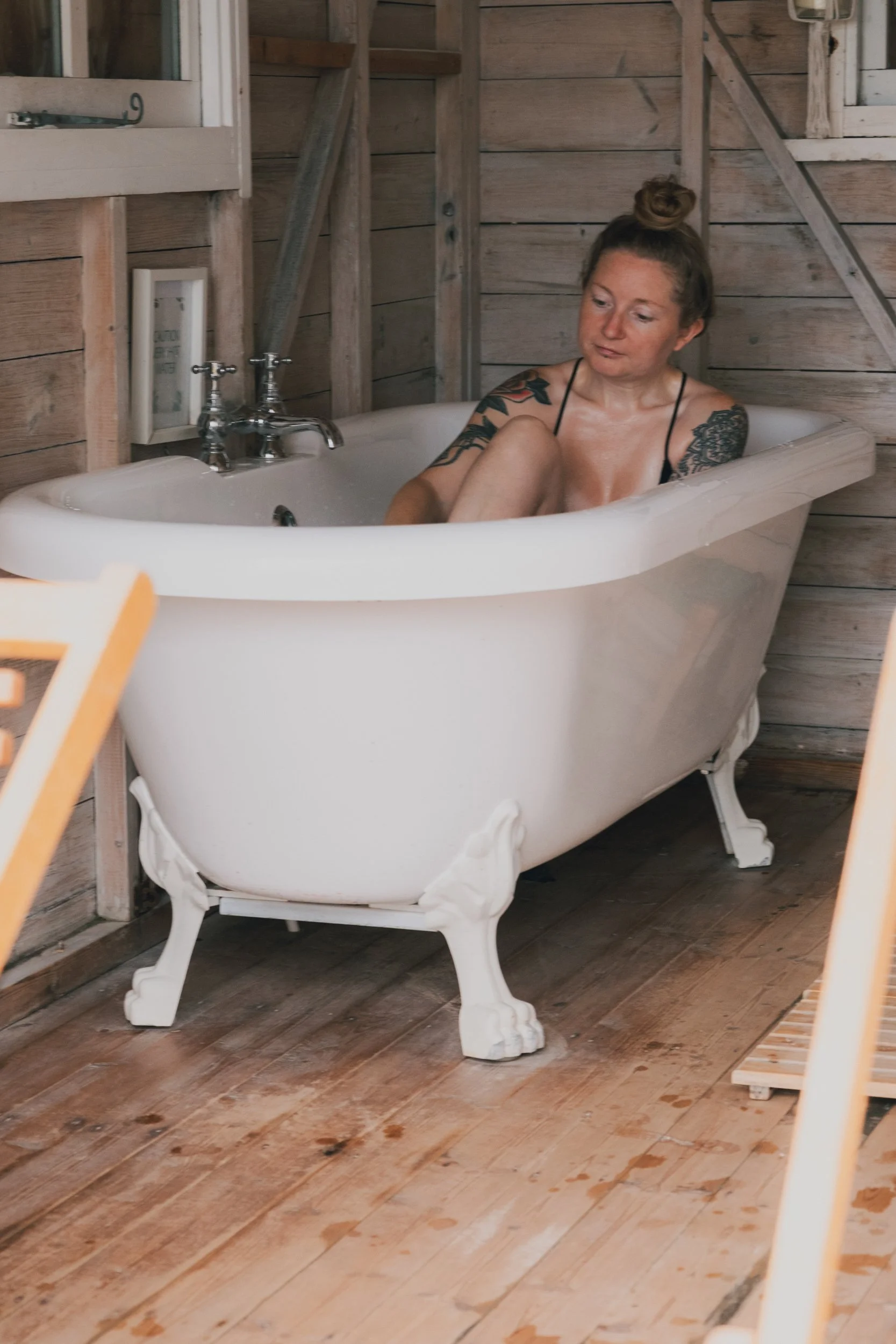 Saeweed DSCF6188.jpg