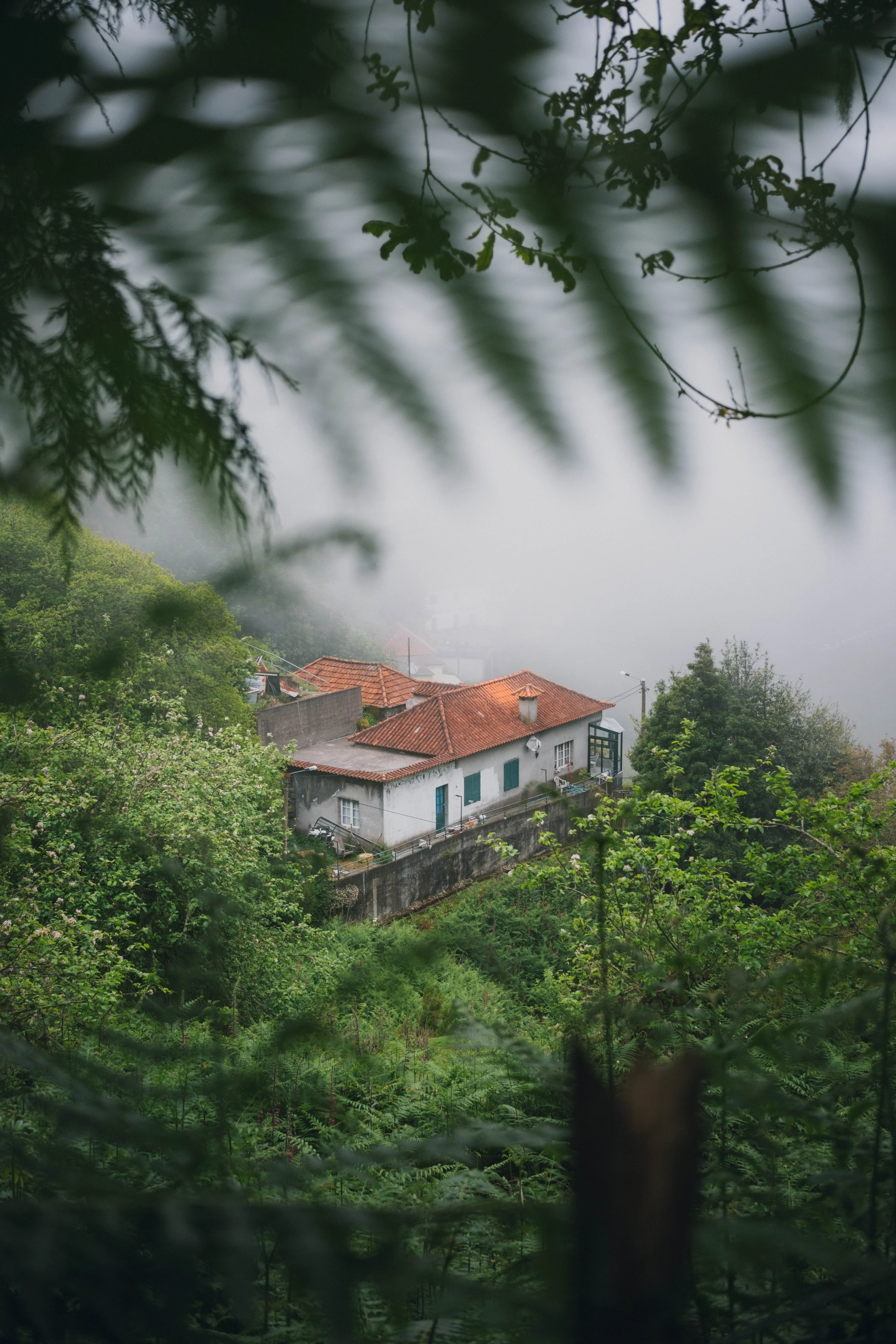 Madeira portfolio madeira-9523.jpg