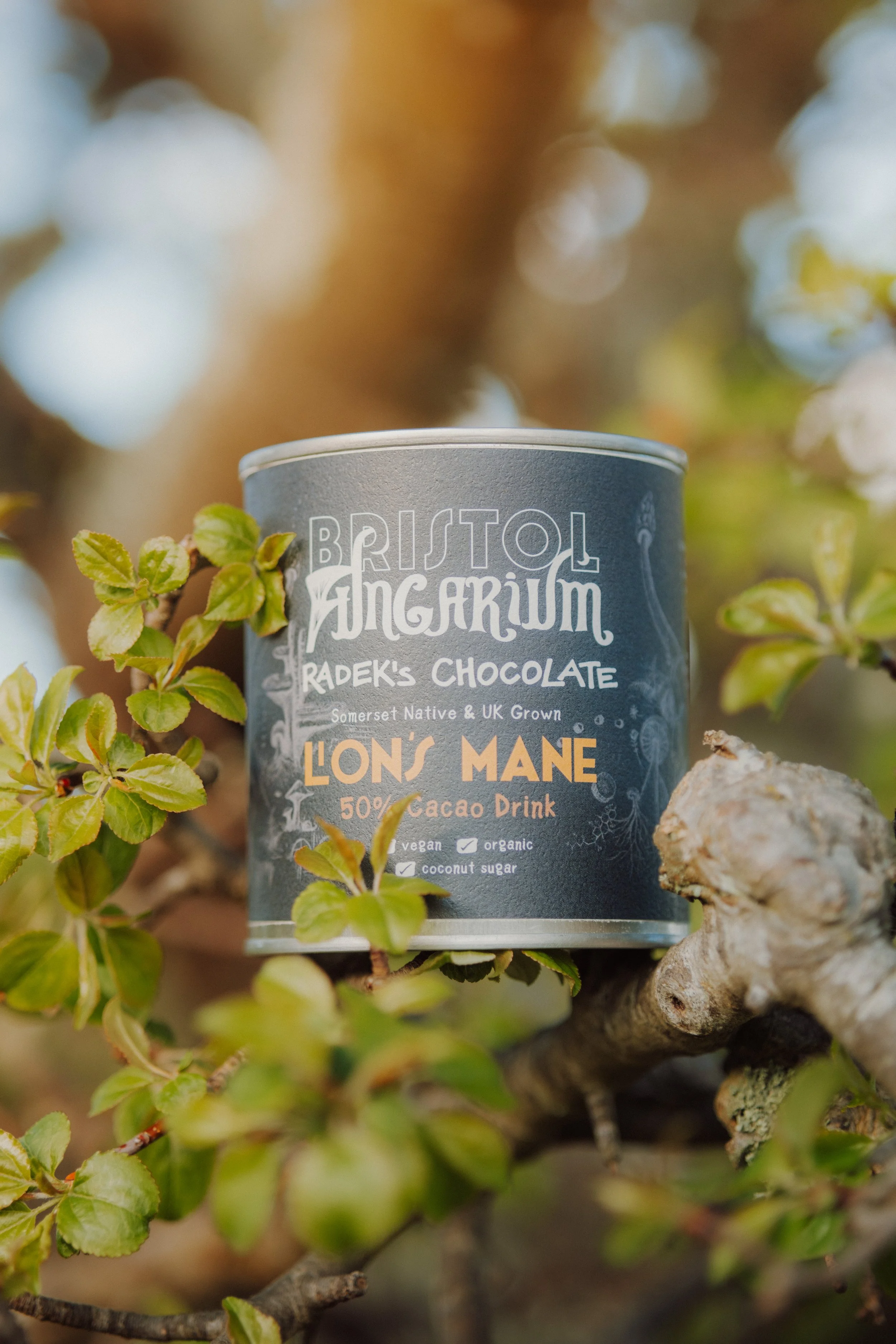 DSCF4036.jpg