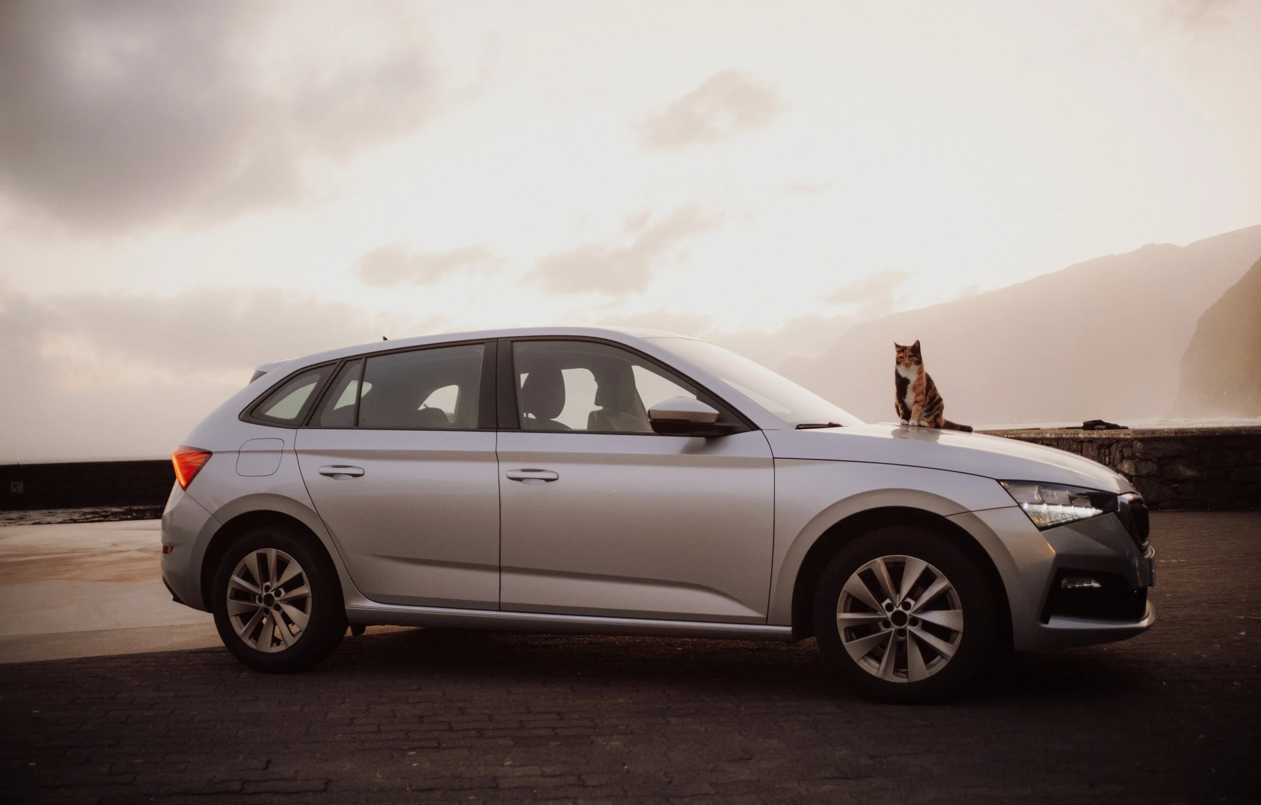 Rental Moniz - DSCF1391.jpg