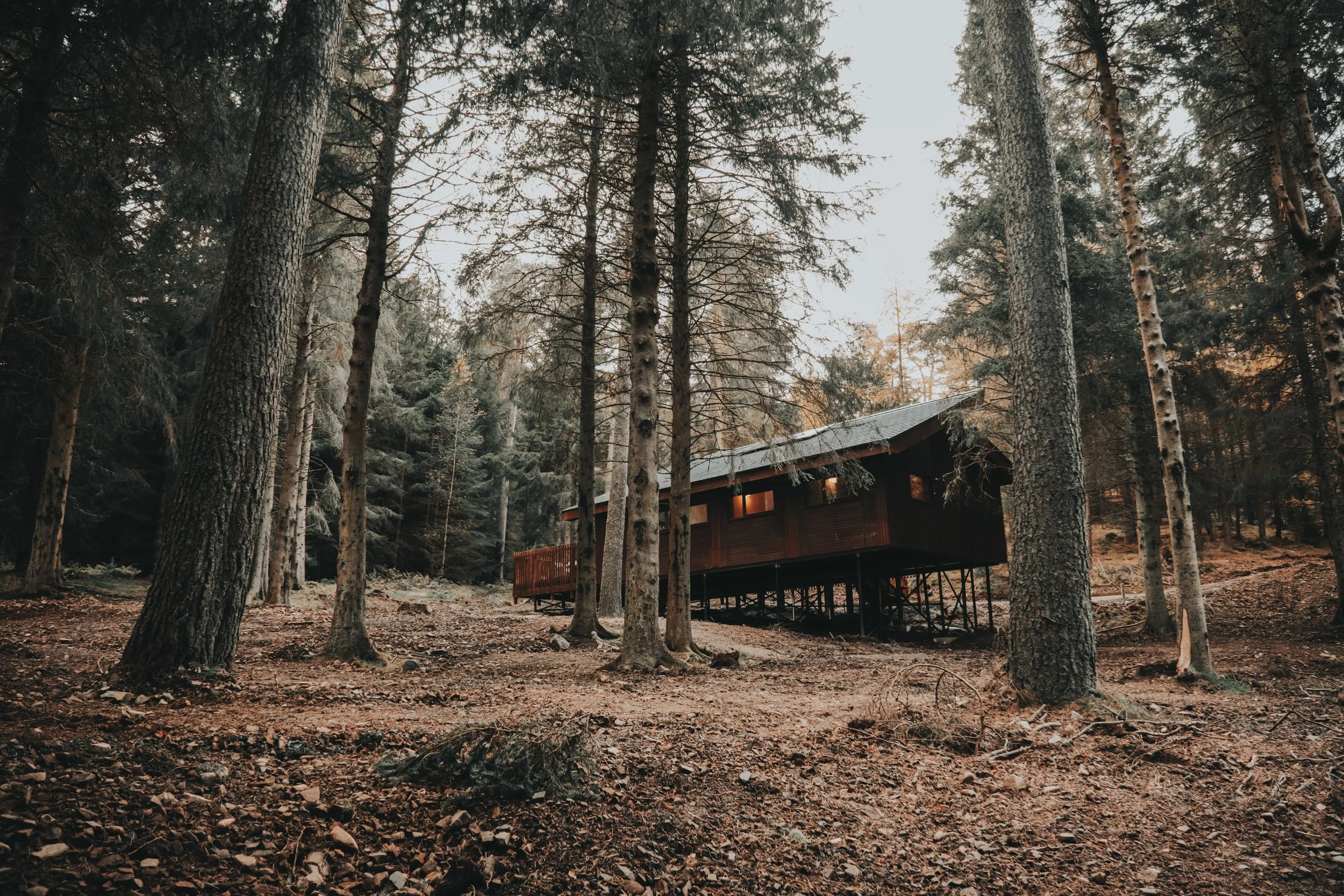 Forest Holidays - FH Low ResresizeDSCF6731.jpg