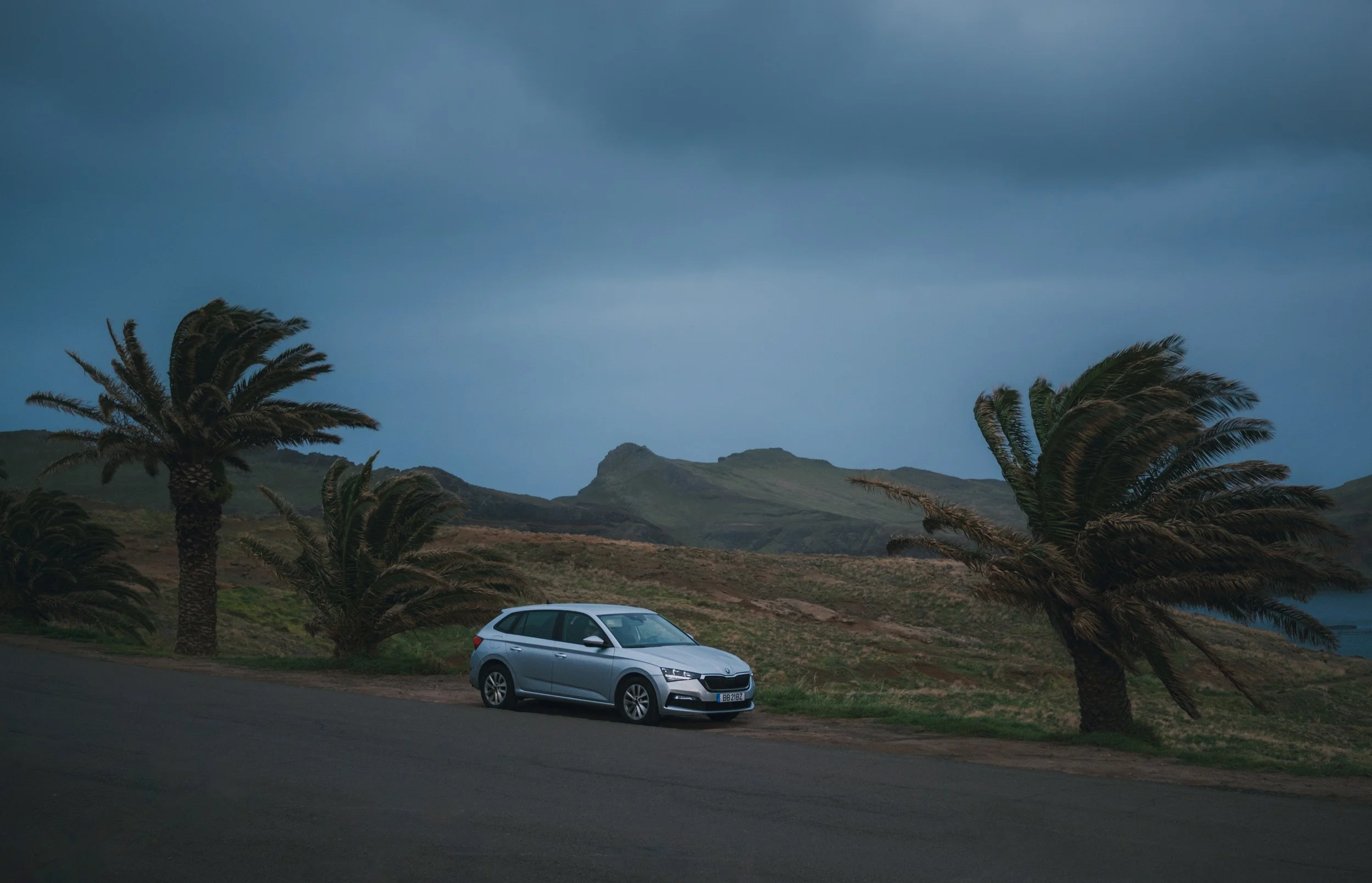 Rental Moniz - DSCF2833.jpg