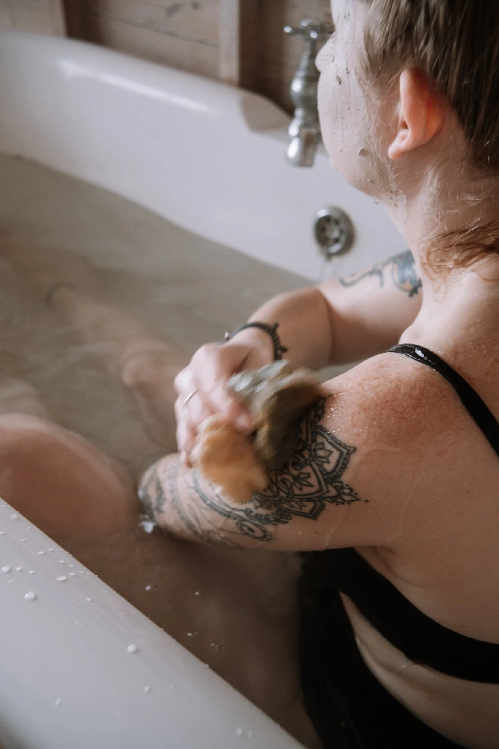 Saeweed DSCF9122.jpg