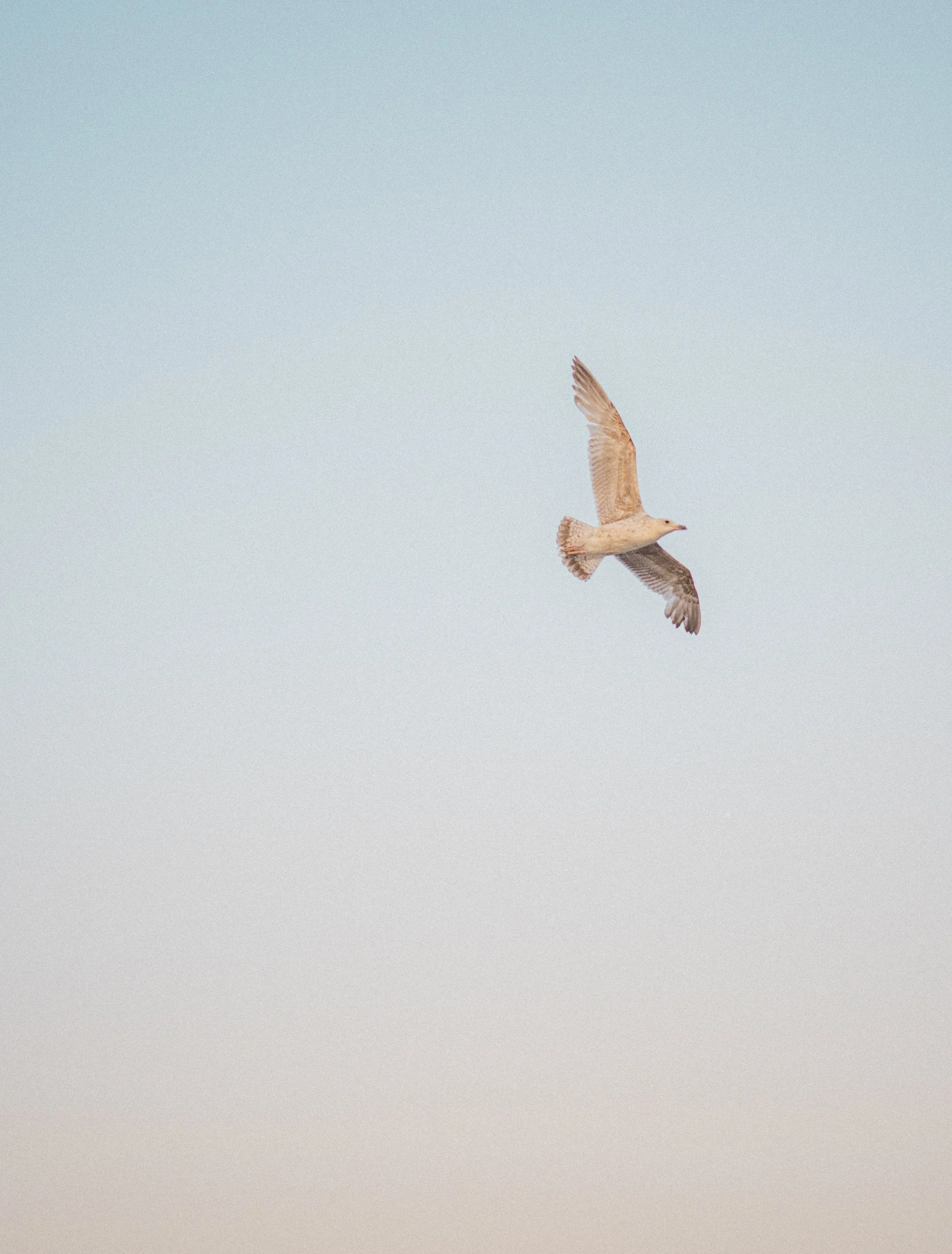 Ocean Bottle - DSCF4042.jpg