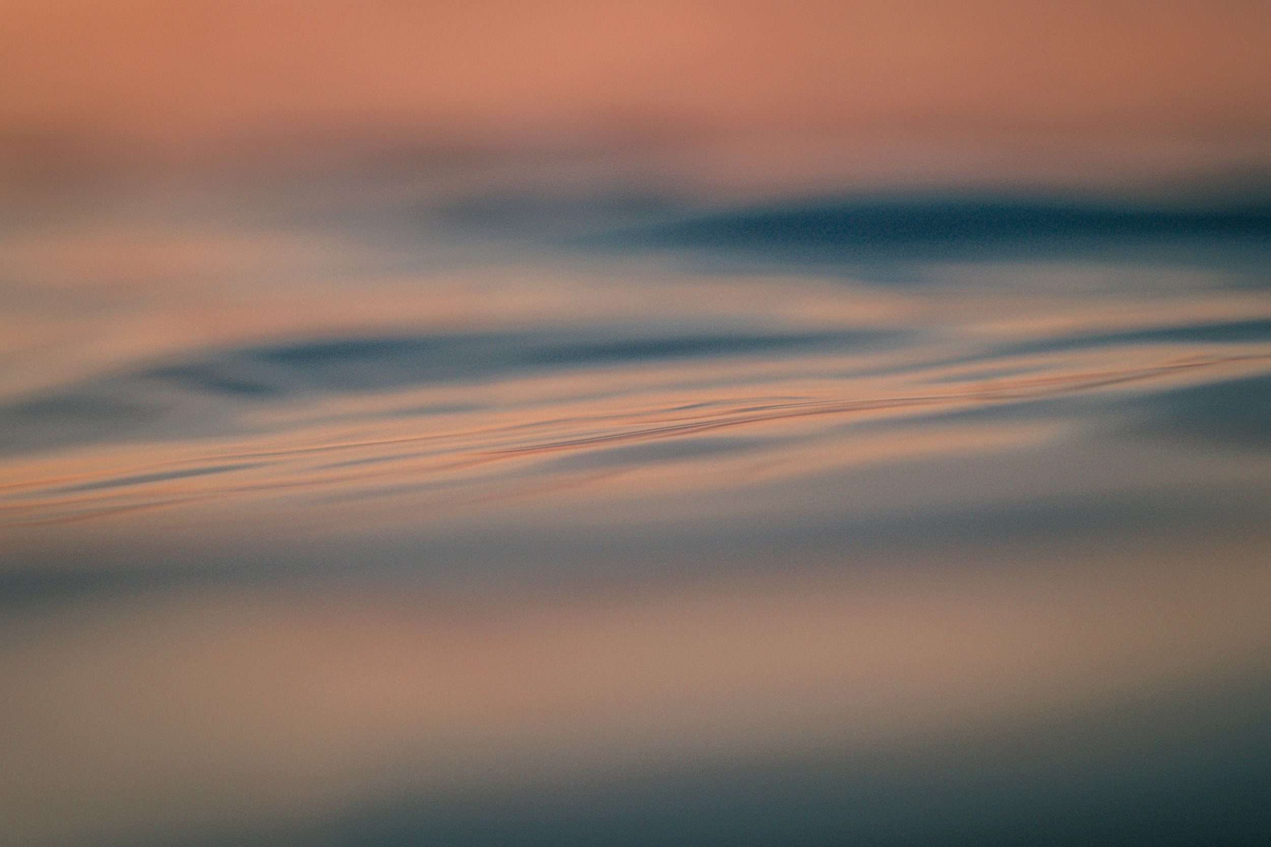 DSCF8575.jpg