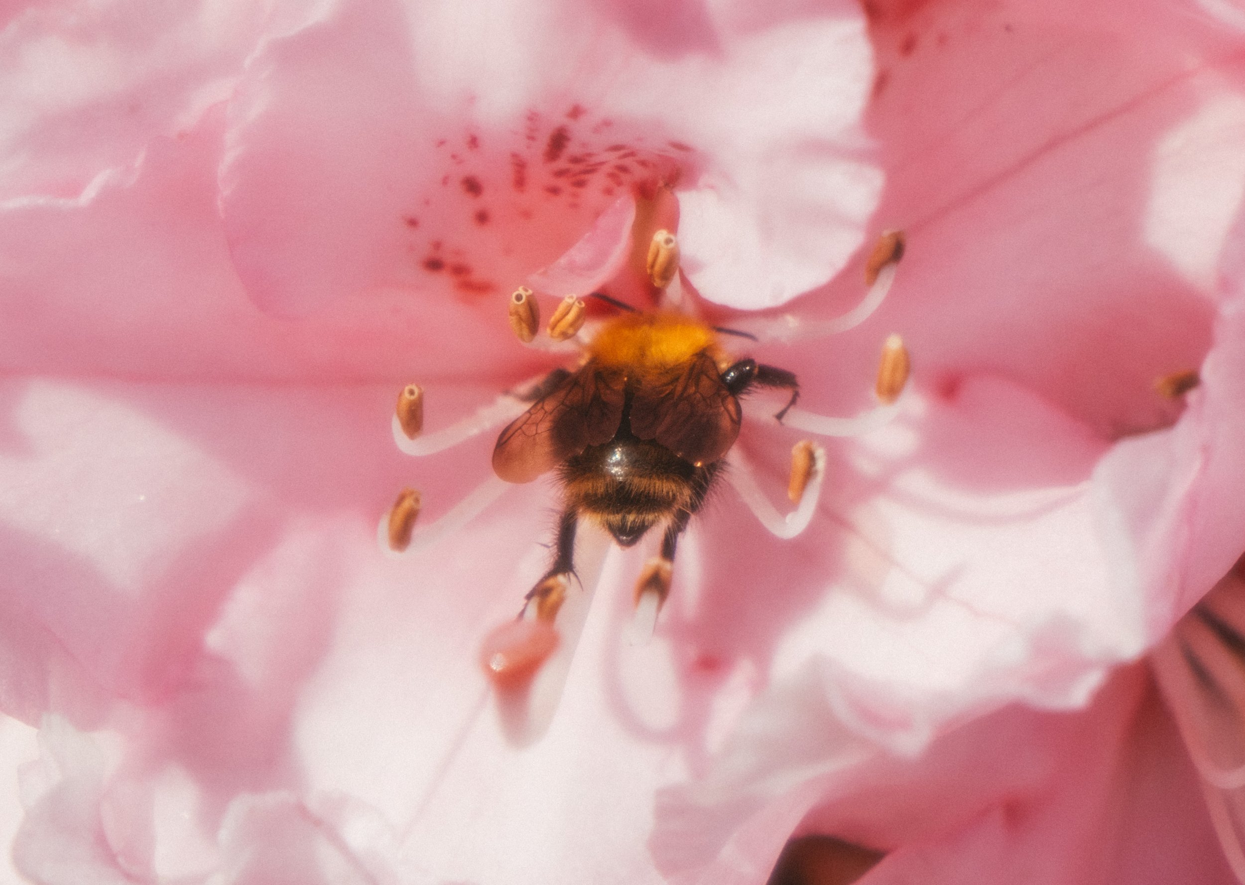 DSCF2826.jpg