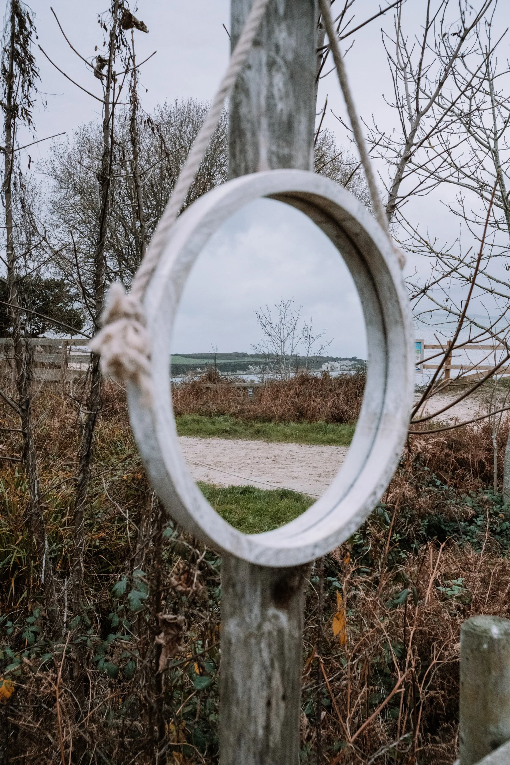 Saeweed DSCF9162.jpg