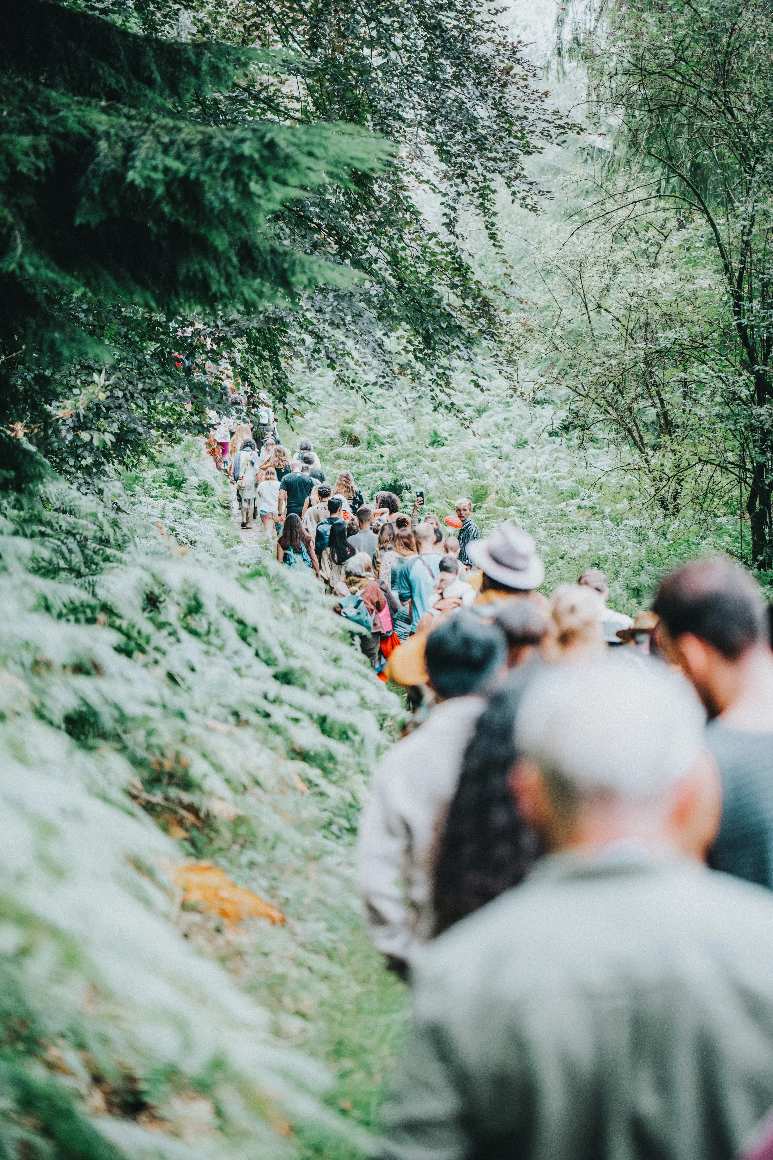 Emily Endean Medicine 62.jpg