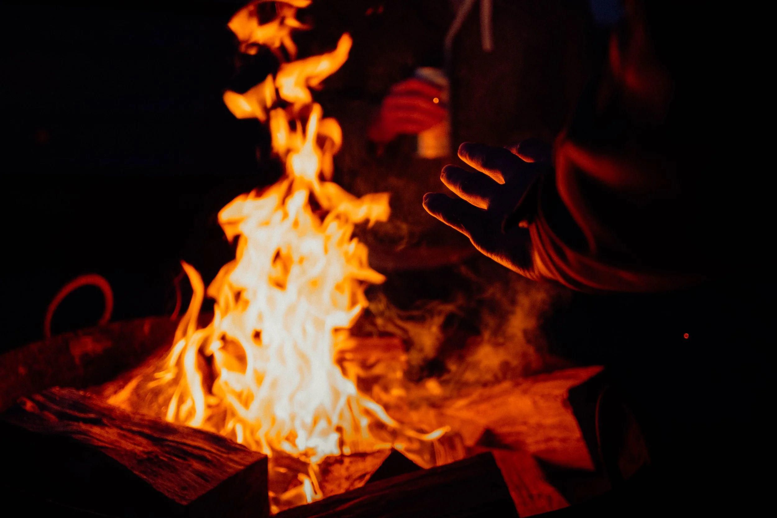 passenger low res DSCF4229.jpg