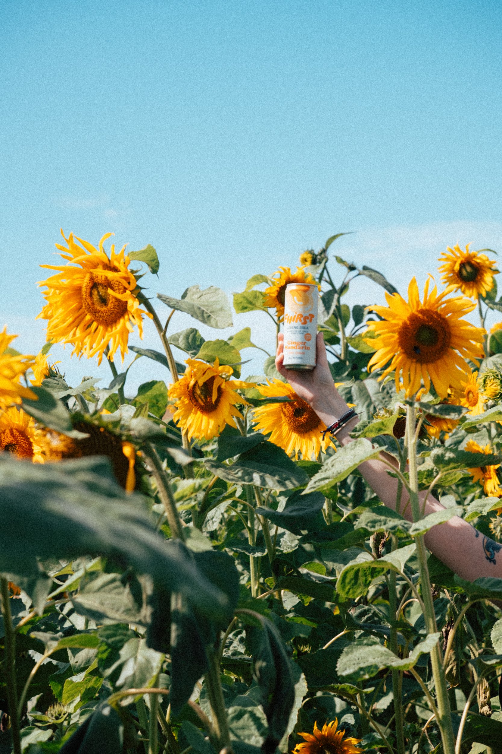 Fhirst - DSCF2911.jpg