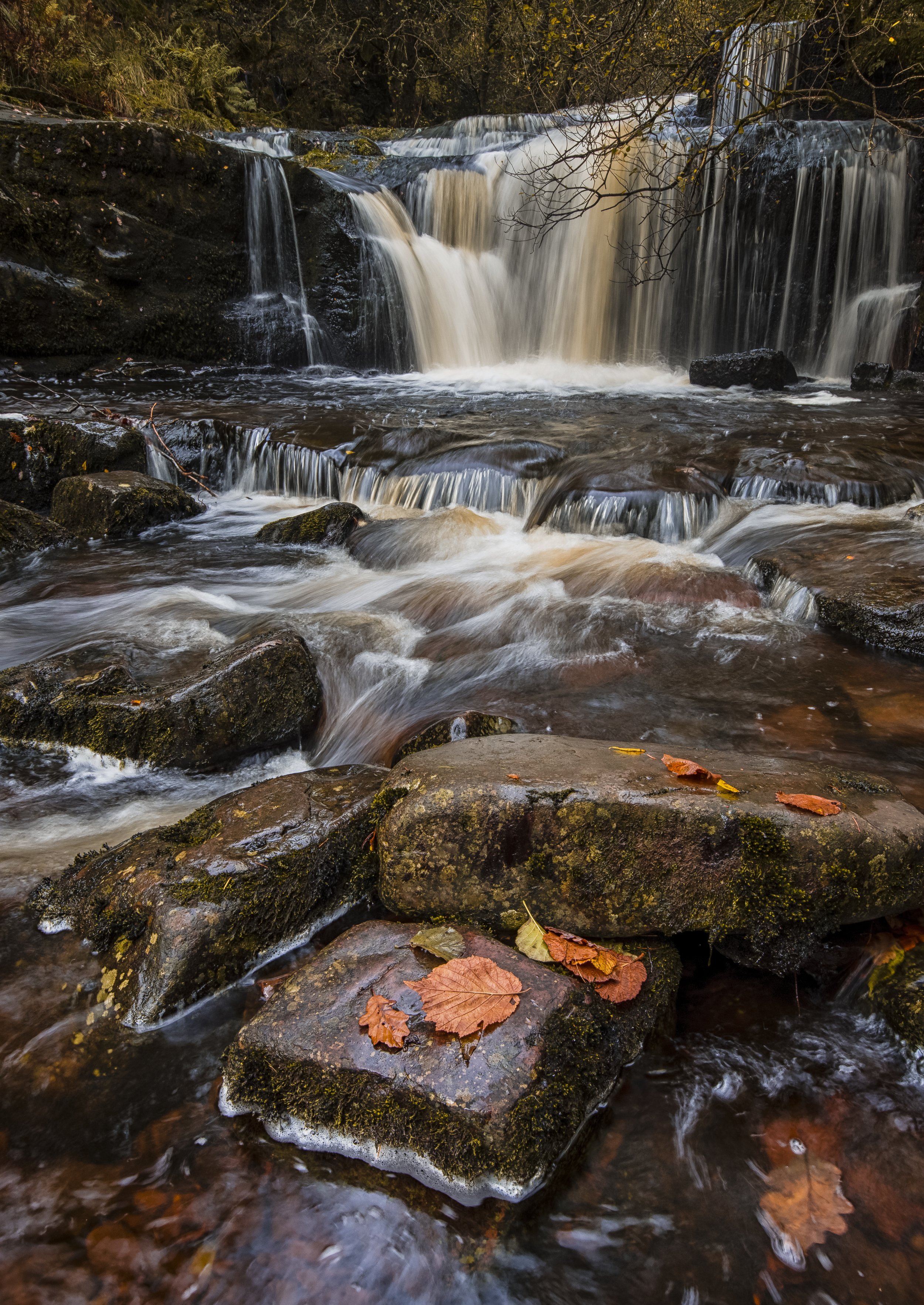 DSC_7689-Edit-1.jpg