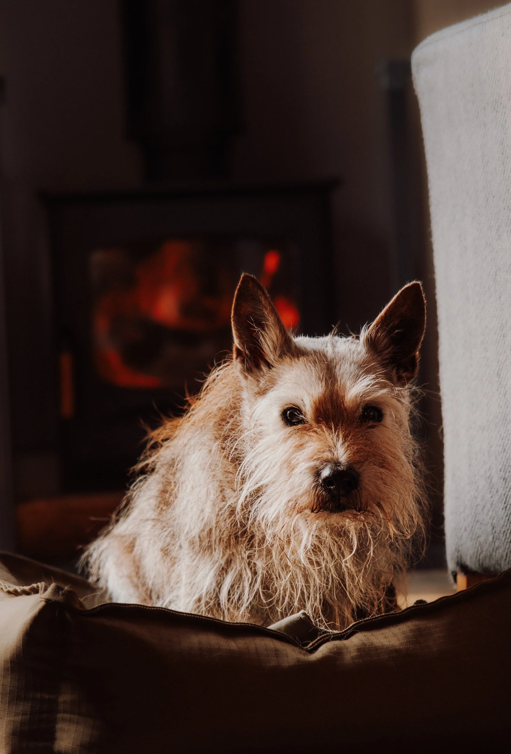 Burnbake Lodge - DSCF8425.jpg