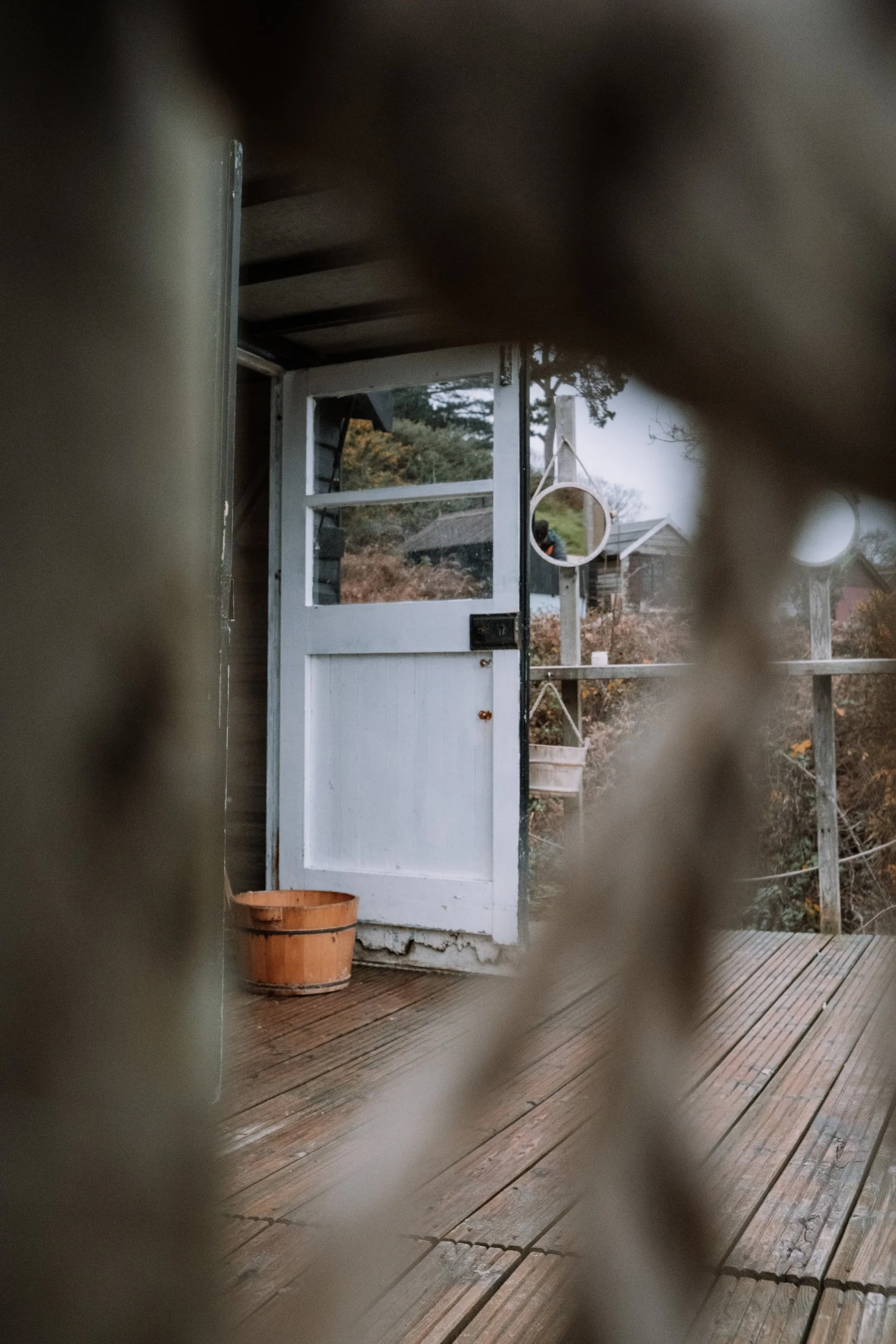 Saeweed DSCF9175.jpg