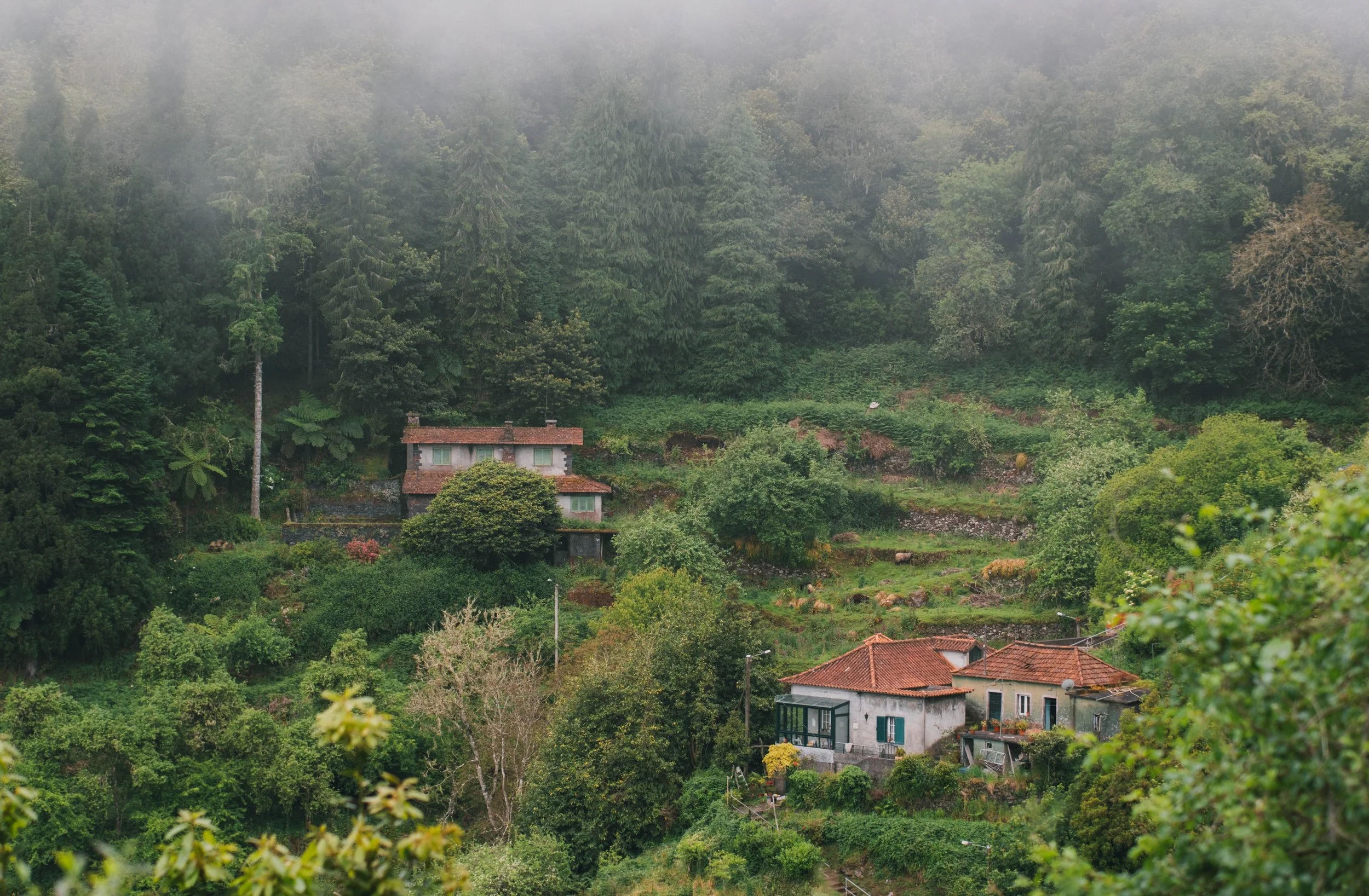 Madeira portfolio madeira-9757.jpg