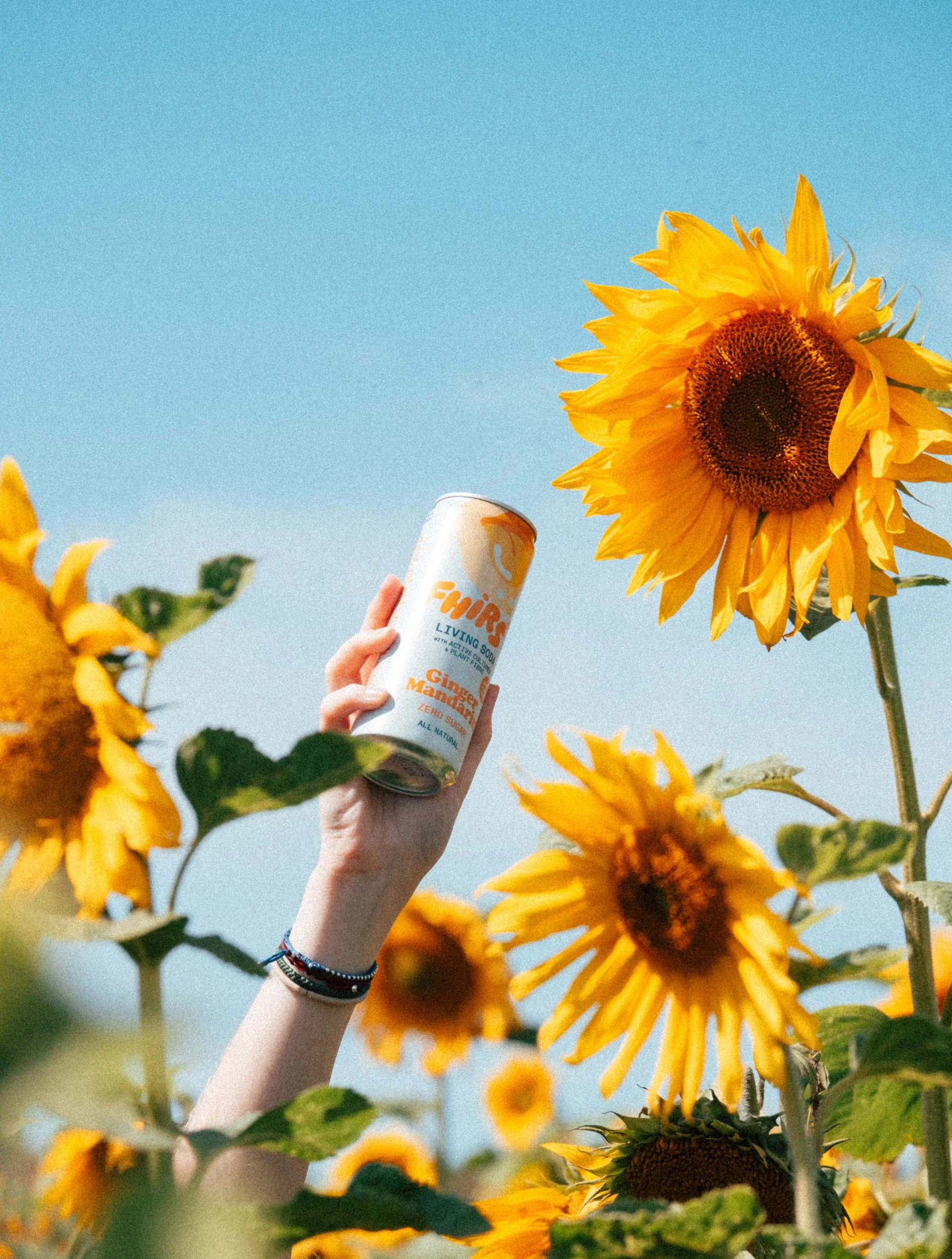 Fhirst - DSCF2927.jpg