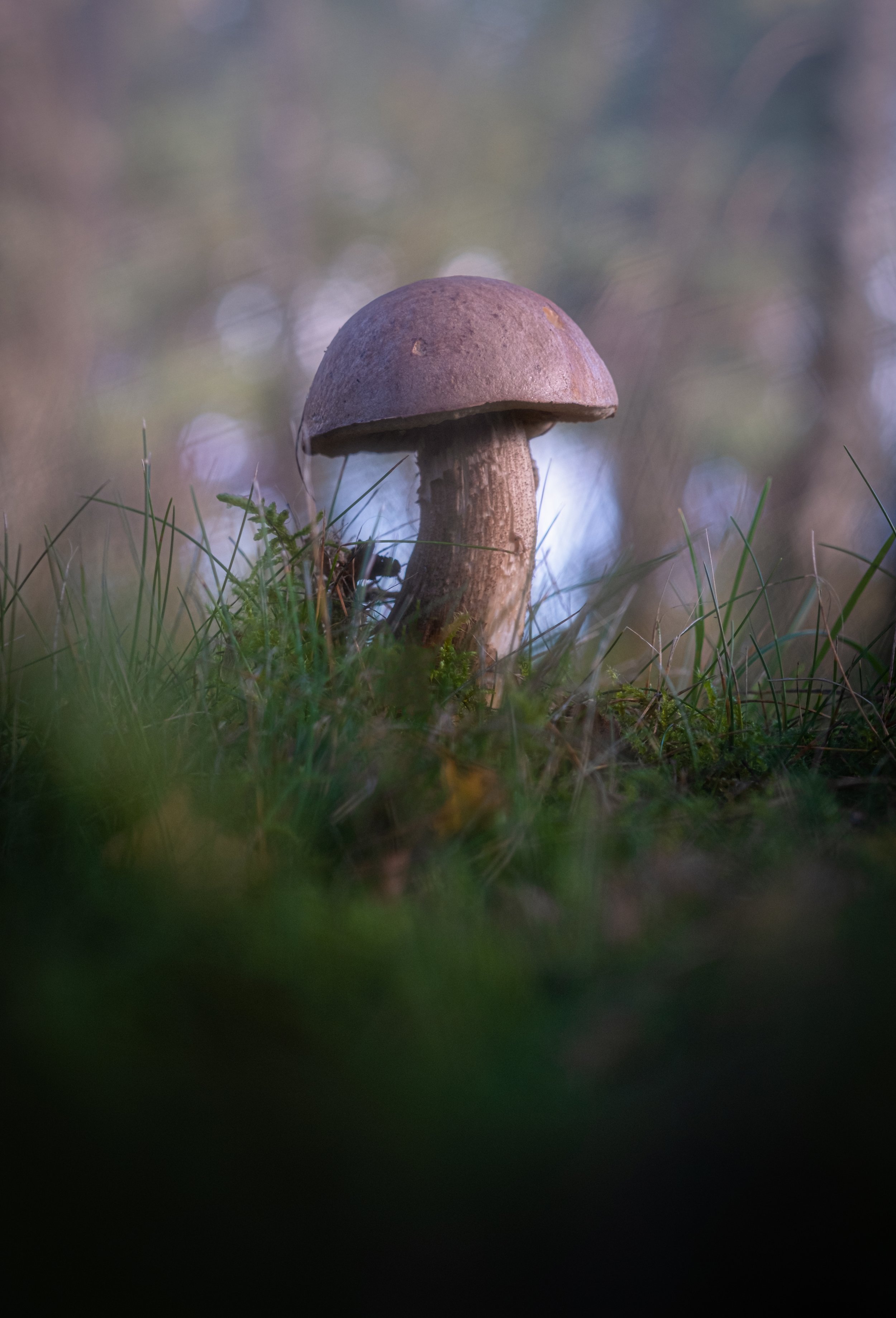 DSCF8574-Edit.jpg