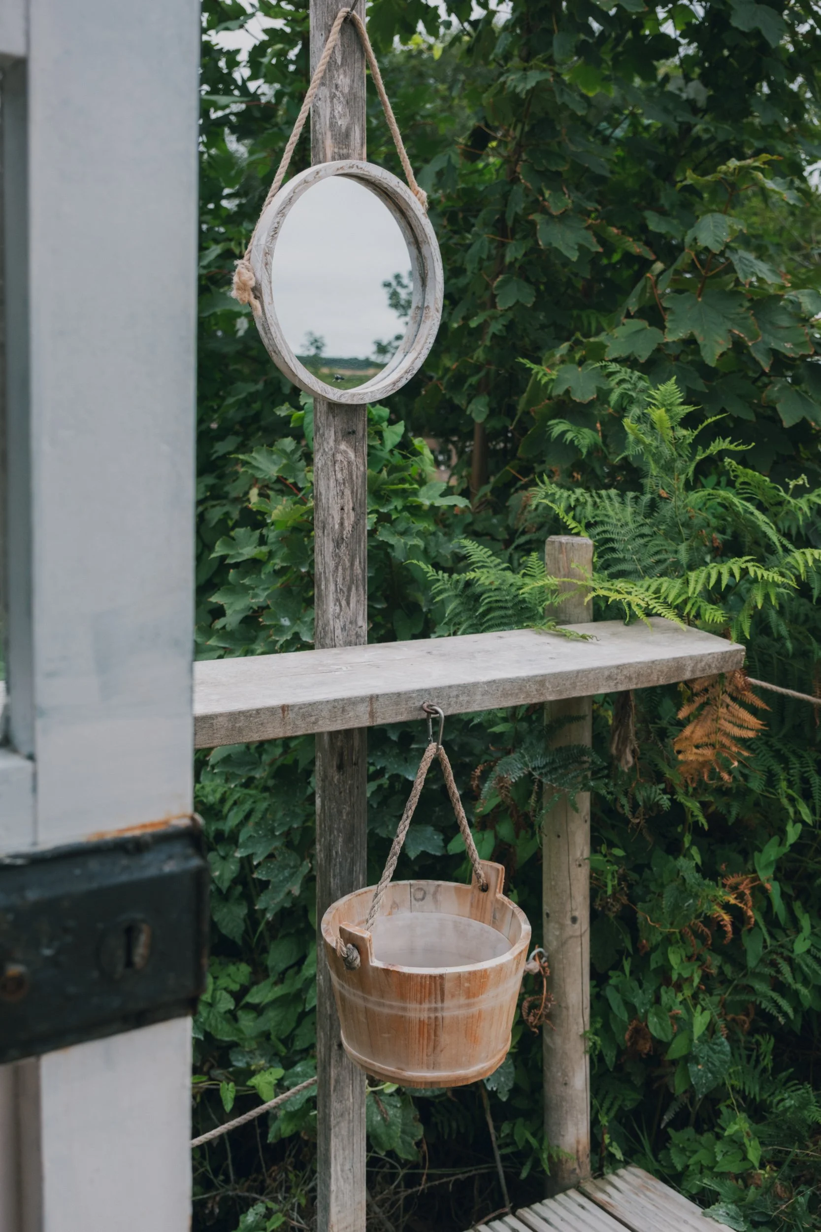 Saeweed DSCF6182.jpg