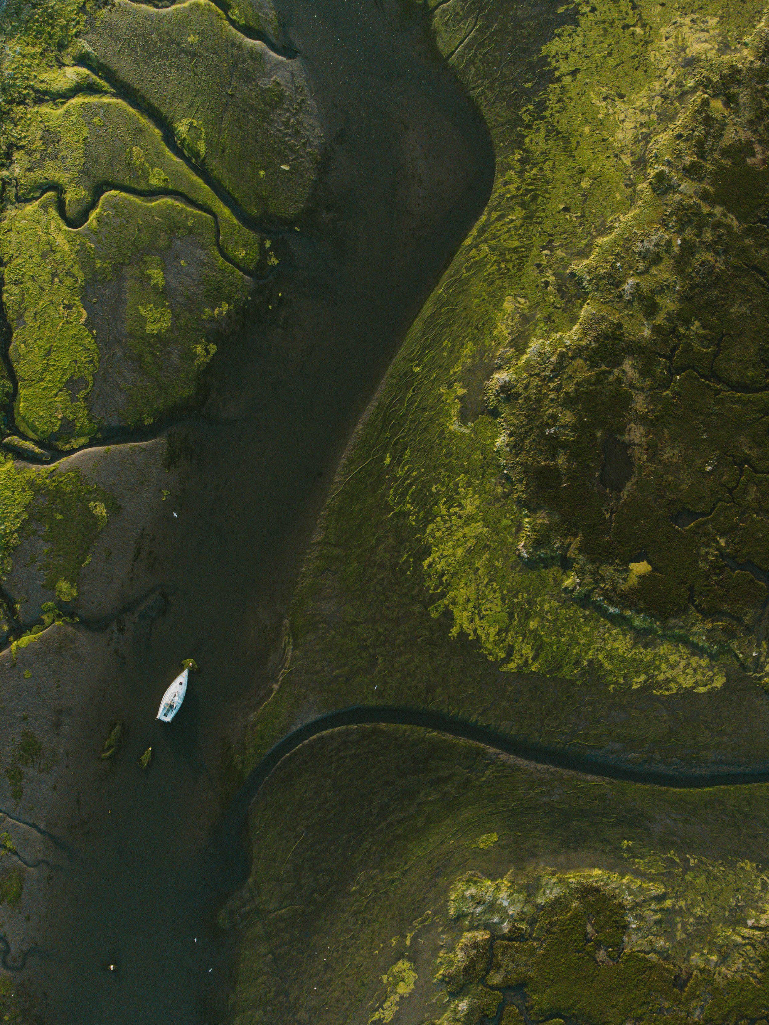 DJI_0687.jpg