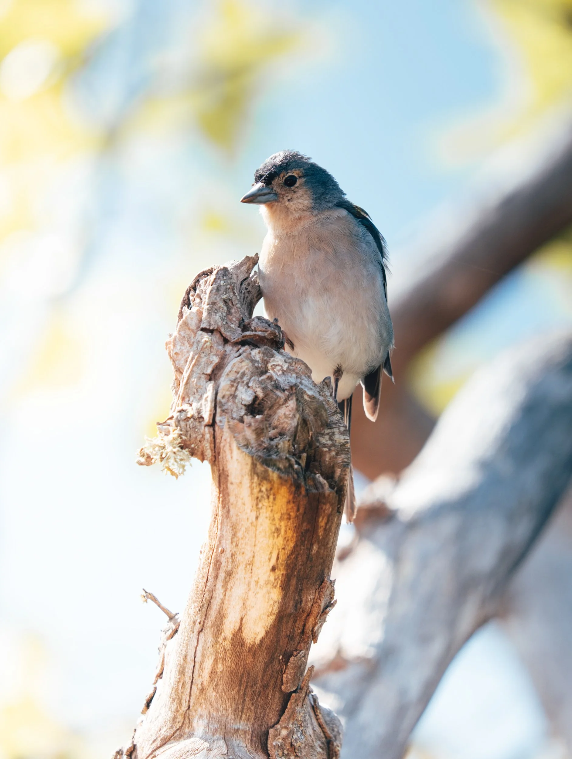 Visit Madeira - DSCF5706.jpg