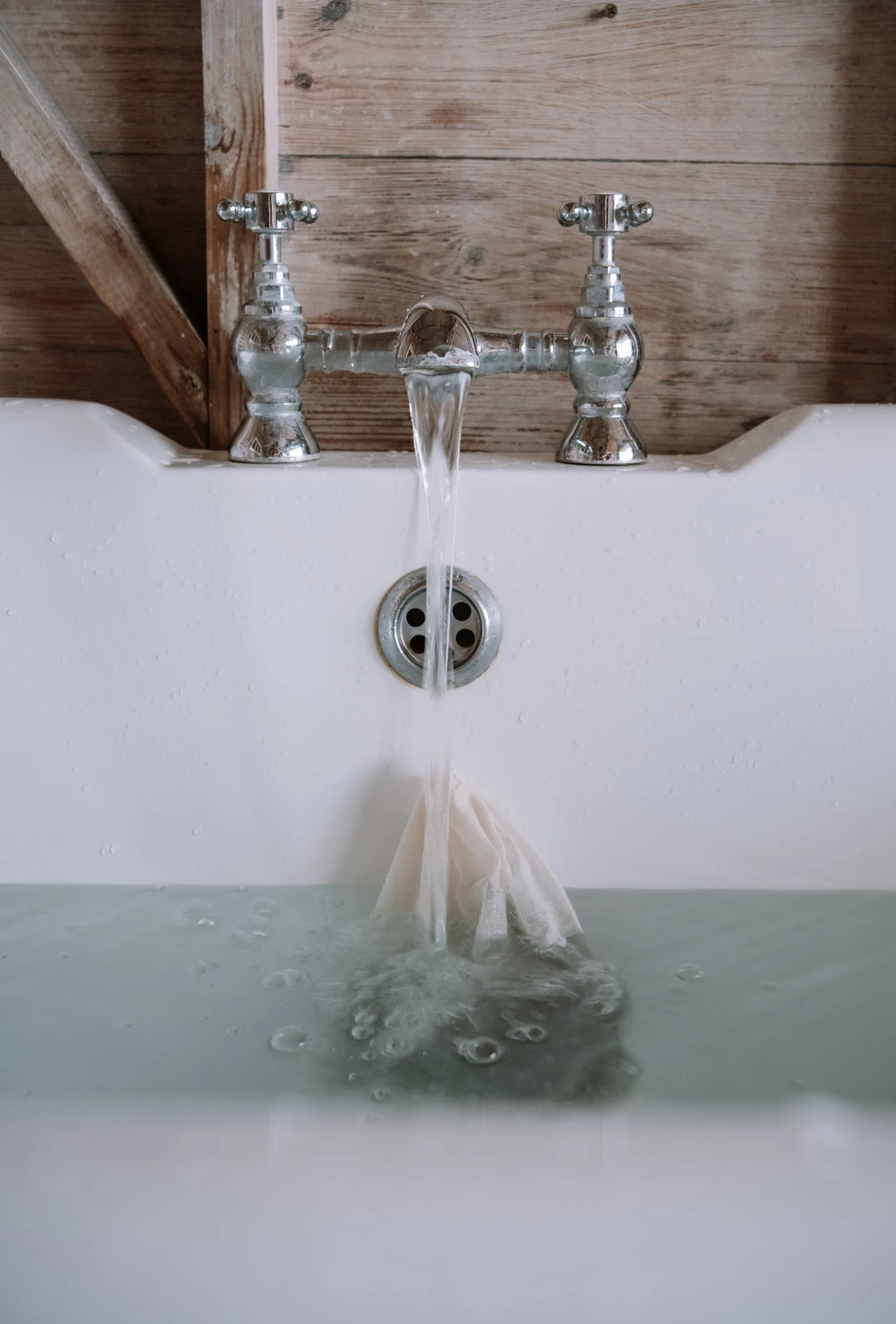 Saeweed DSCF9092.jpg