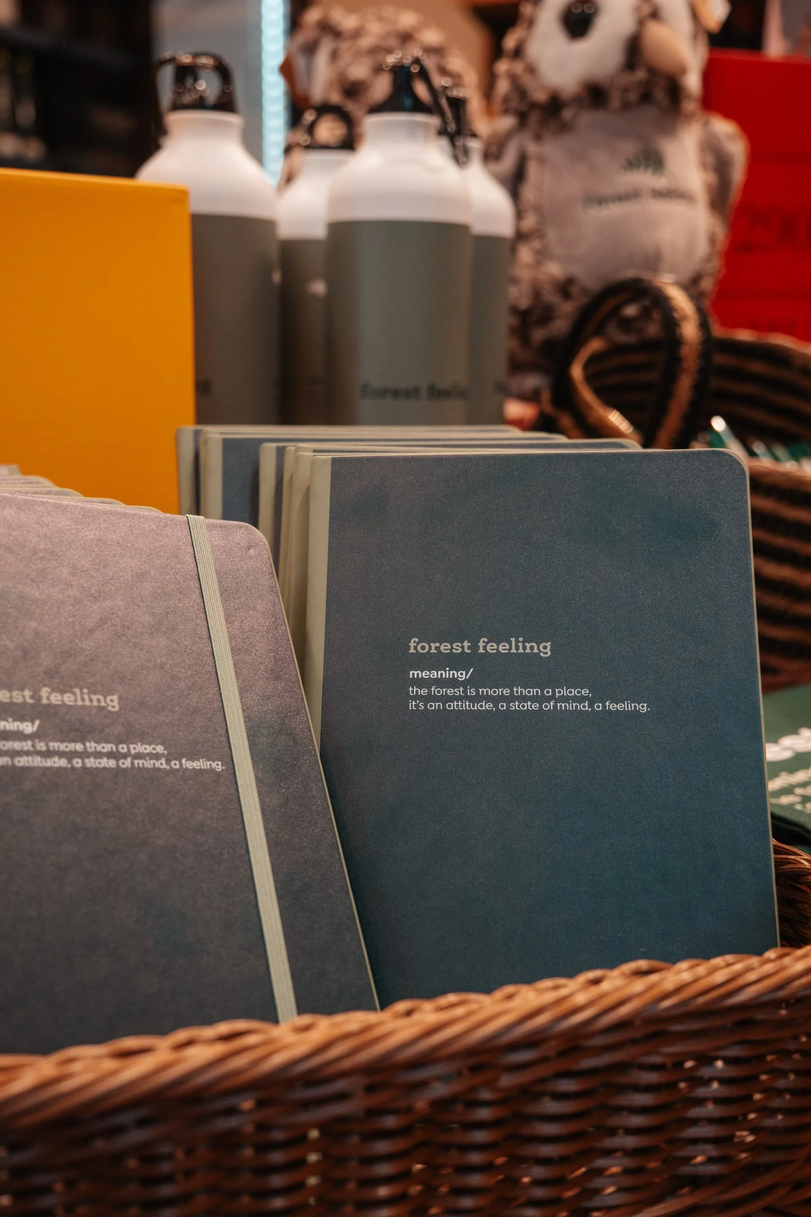 Forest Holidays - FH Low ResresizeDSCF6415.jpg