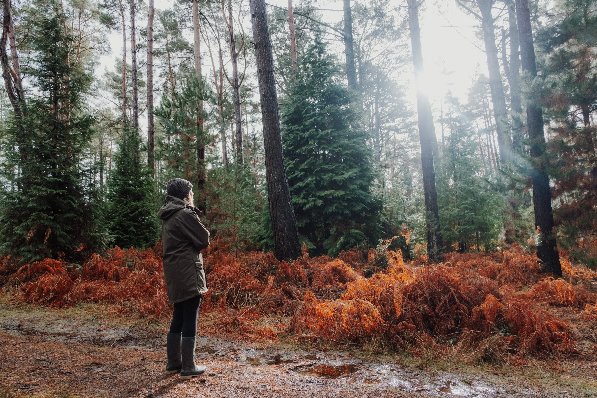 Burnbake Lodge - DSCF8341.jpg