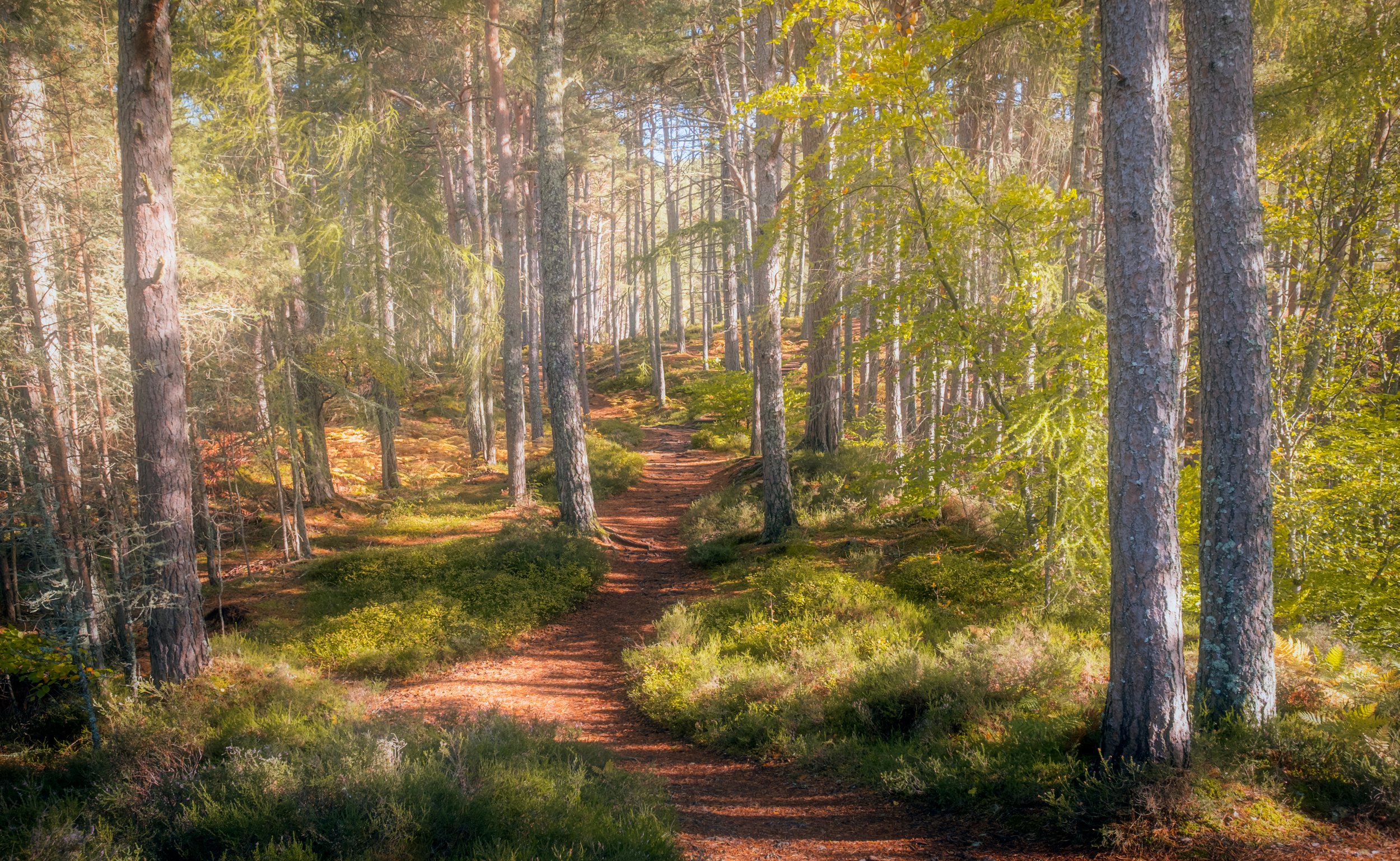 DSCF8235-Edit.jpg