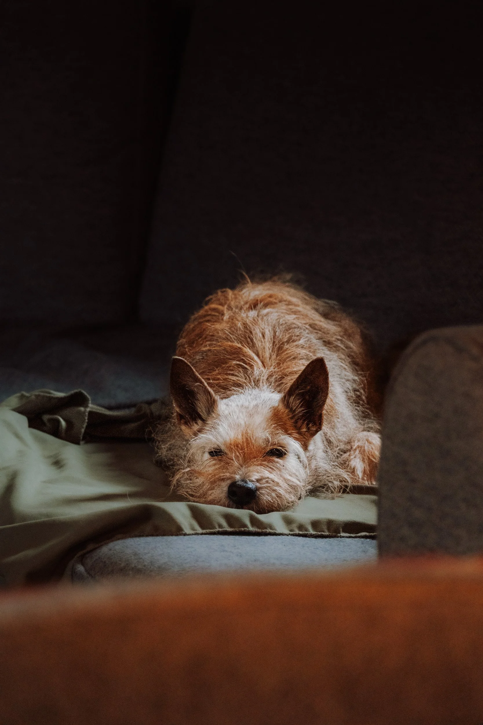 Burnbake Lodge - DSCF8135.jpg