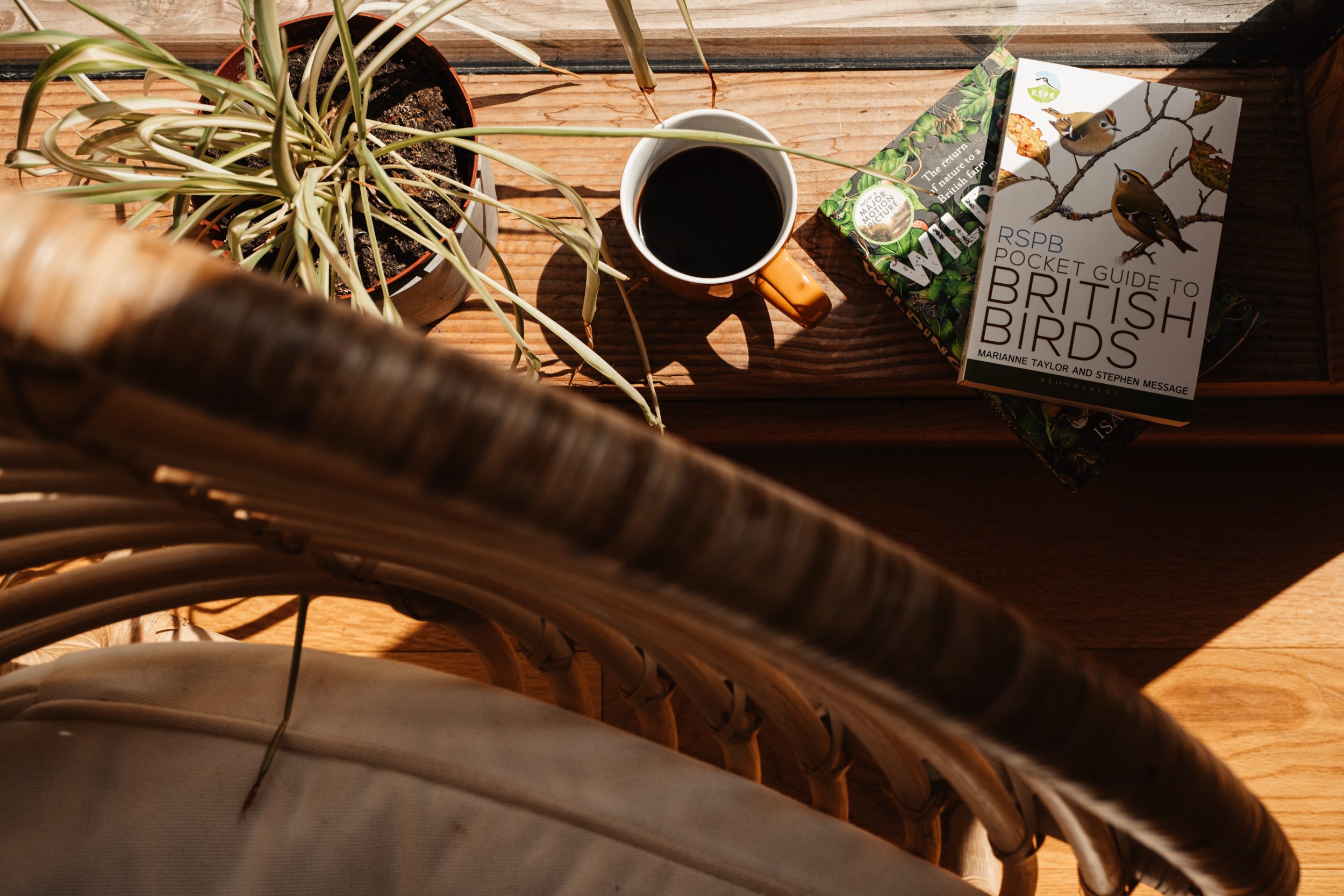 Brook House - JM - LOW RES DSCF1356.jpg