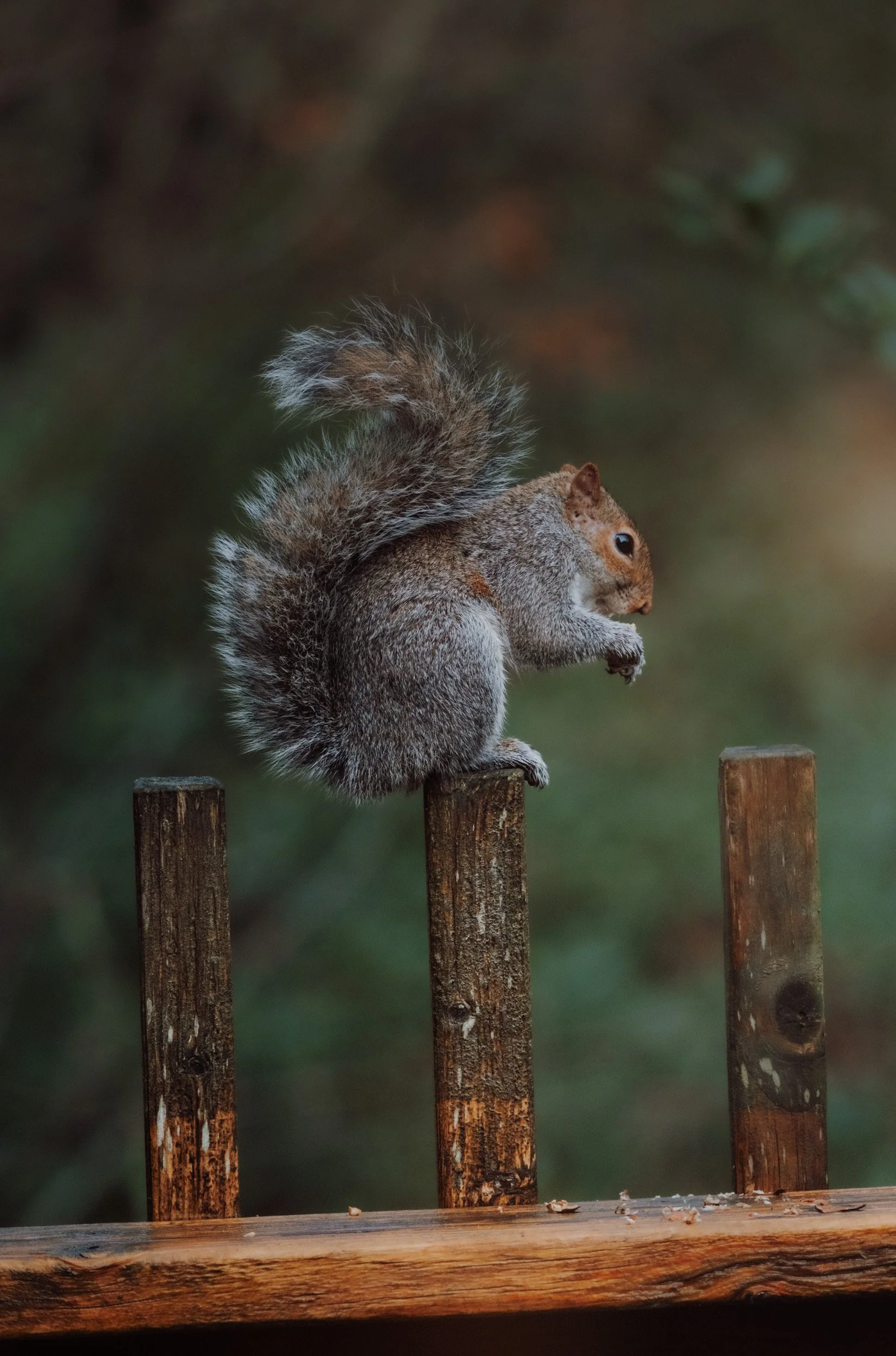 Burnbake Lodge - DSCF8374.jpg