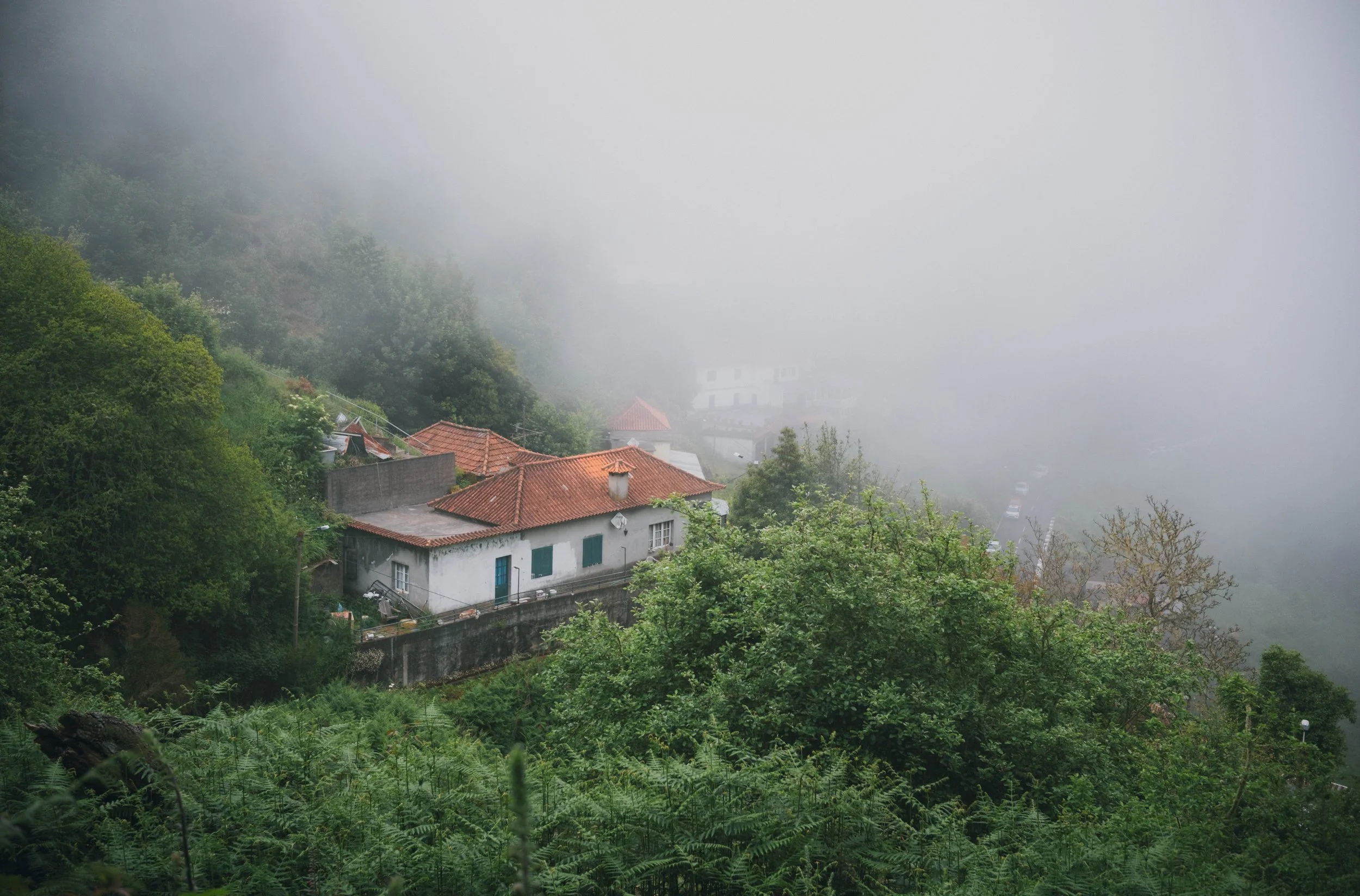Madeira portfolio madeira-9521.jpg