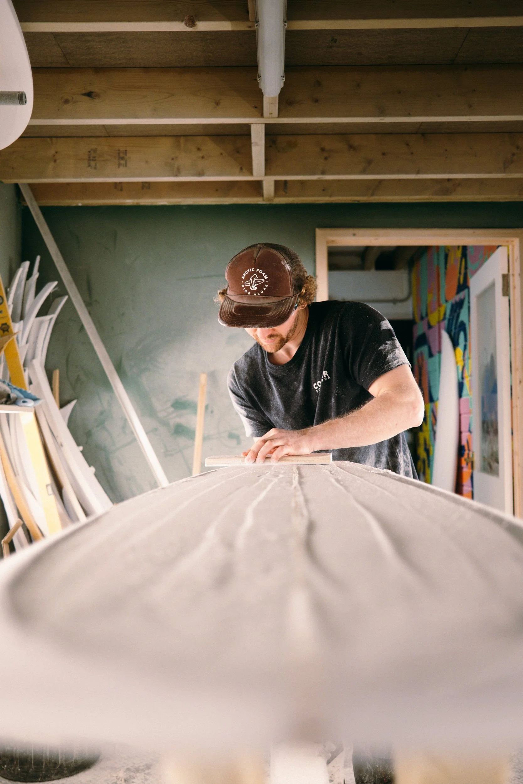 Cooper - DSCF1056.jpg