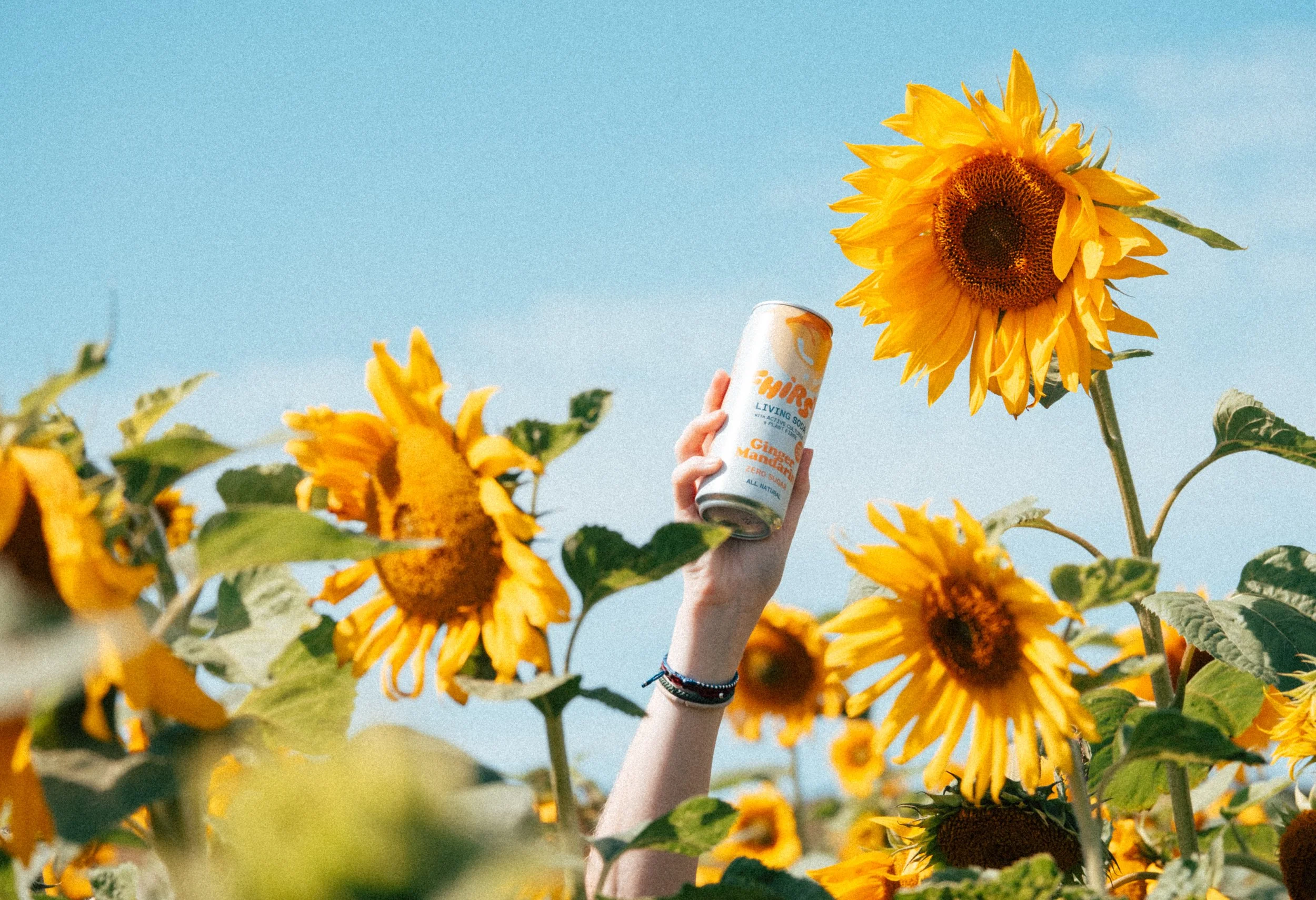 Fhirst - DSCF2926.jpg