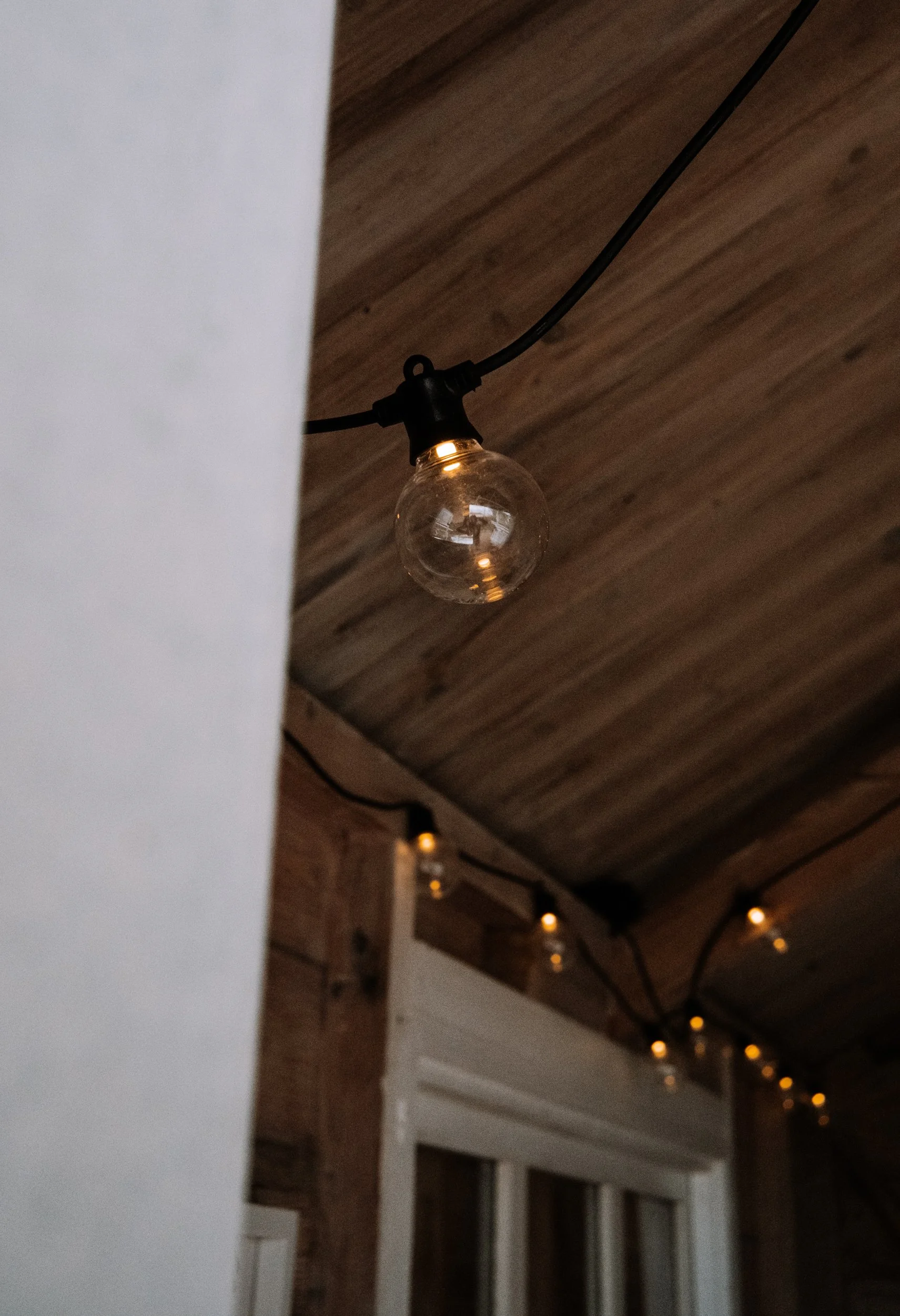 Saeweed DSCF9153.jpg