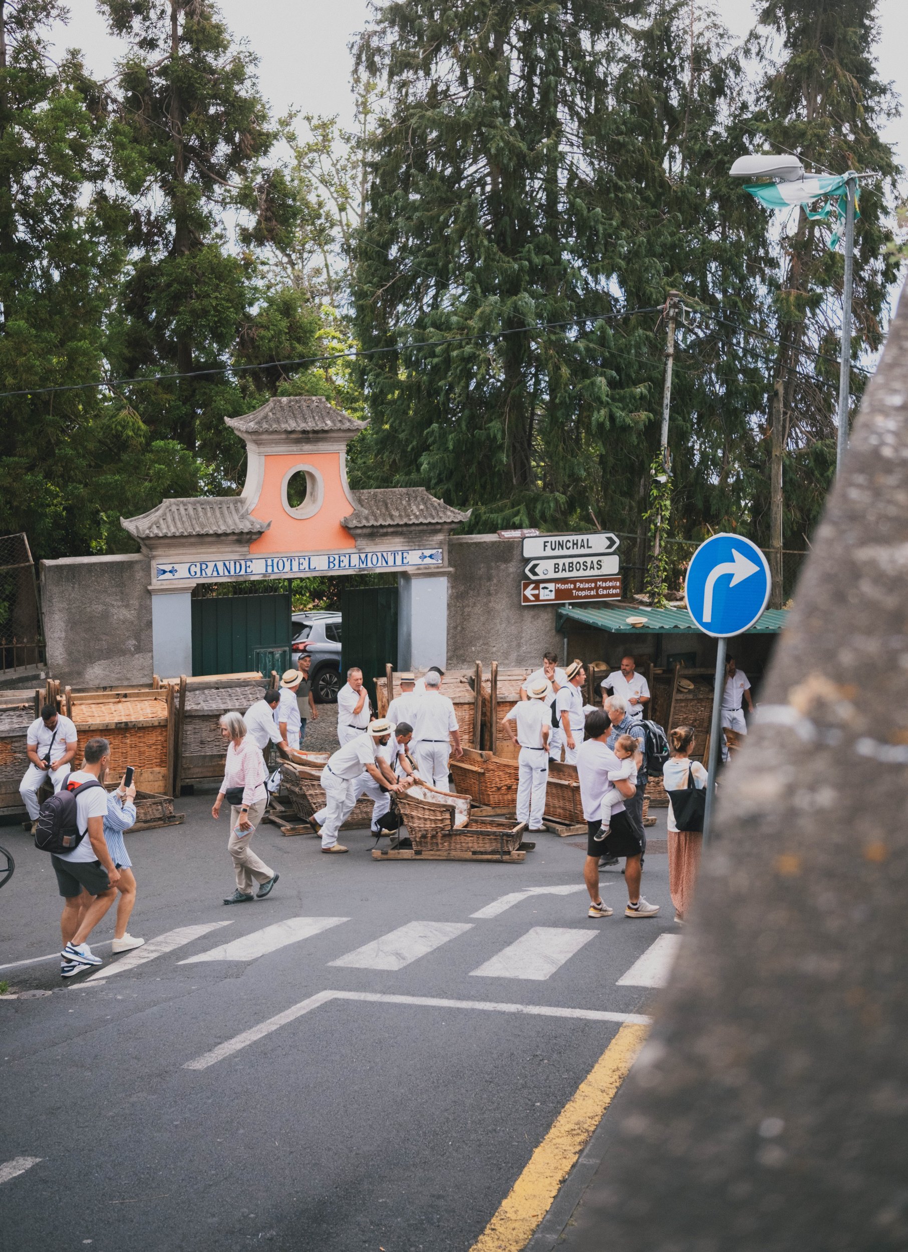 Visit Madeira - Madeira portfolio DSCF9397.jpg