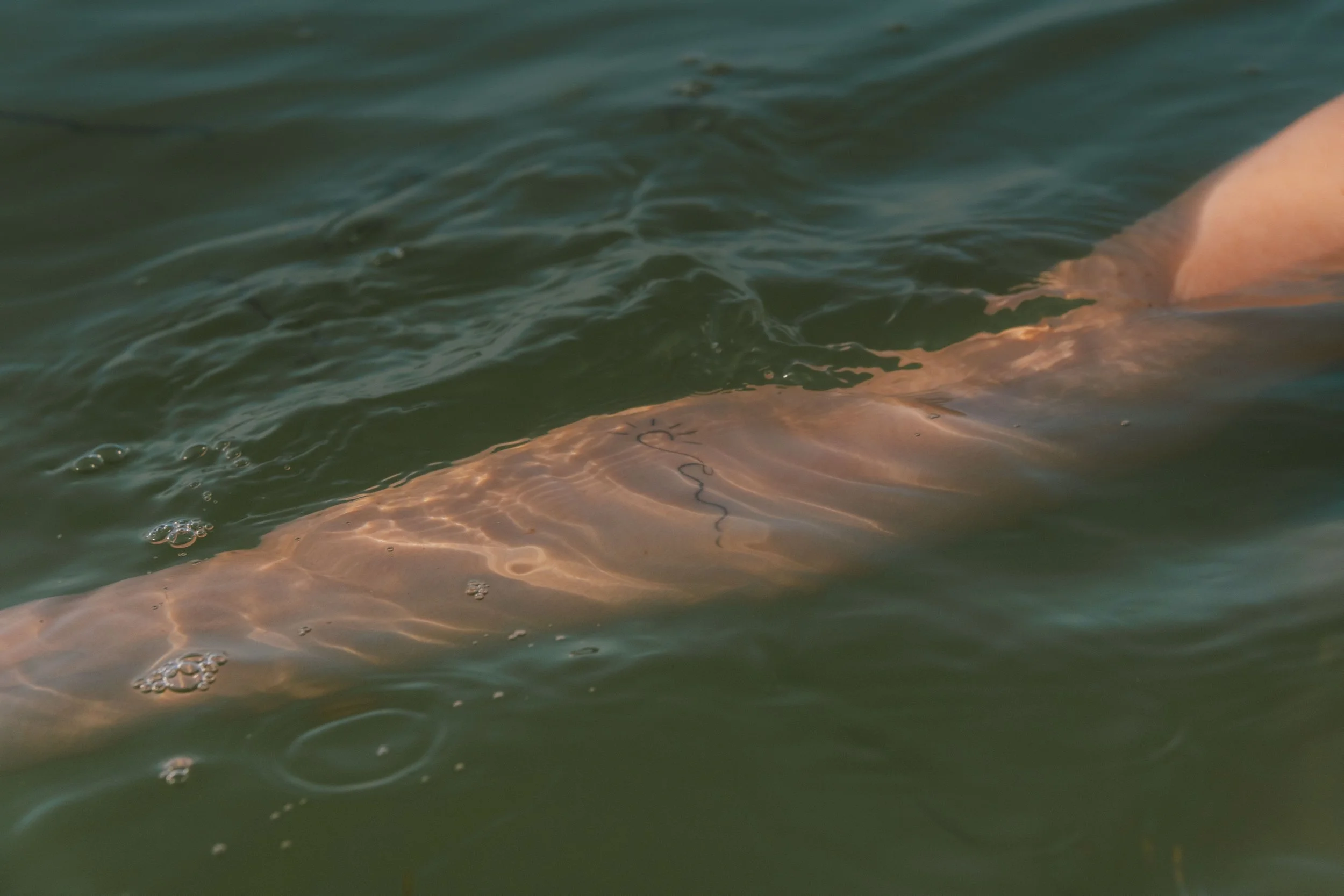 DSCF9142.jpg