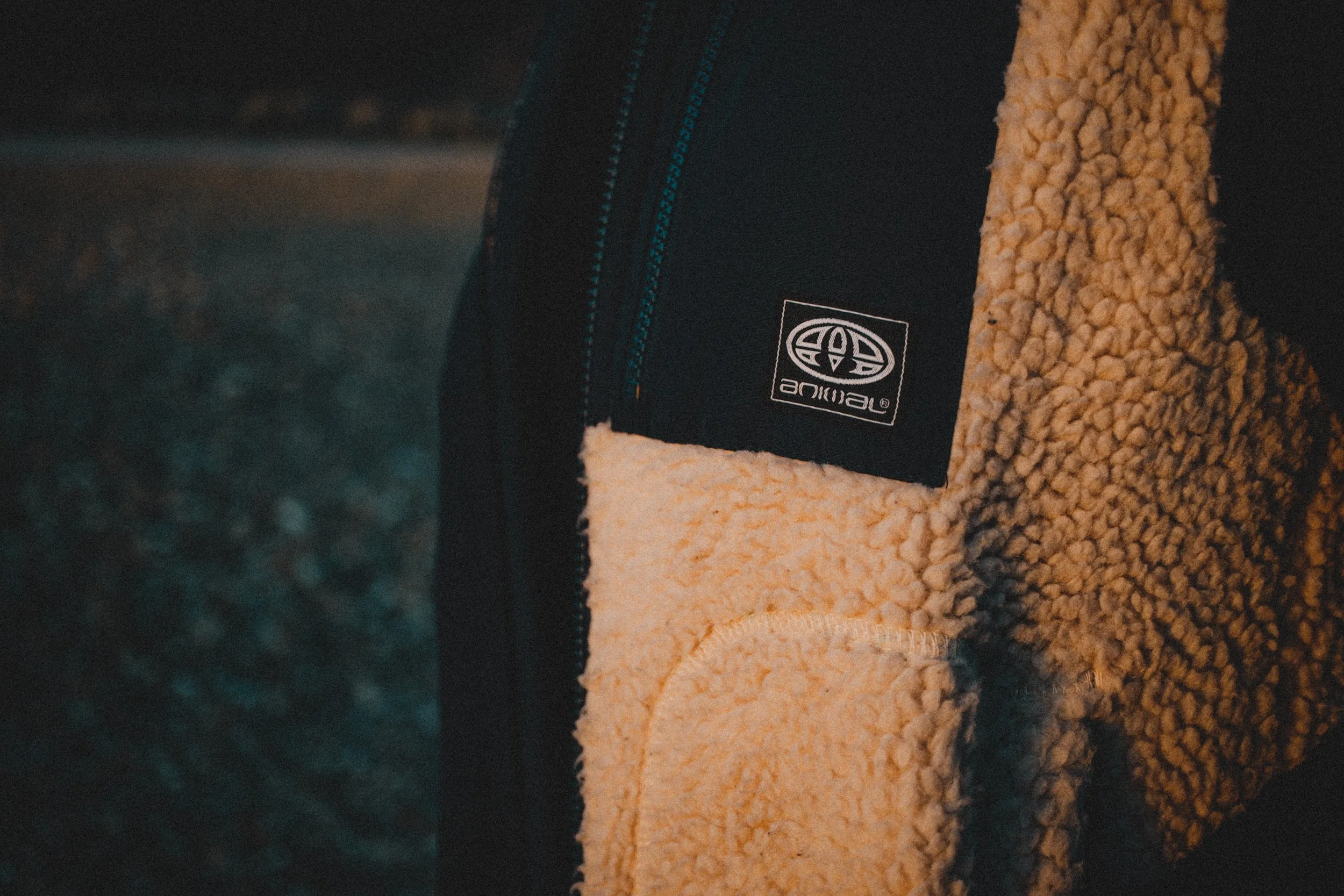 Animal - Content11.jpg