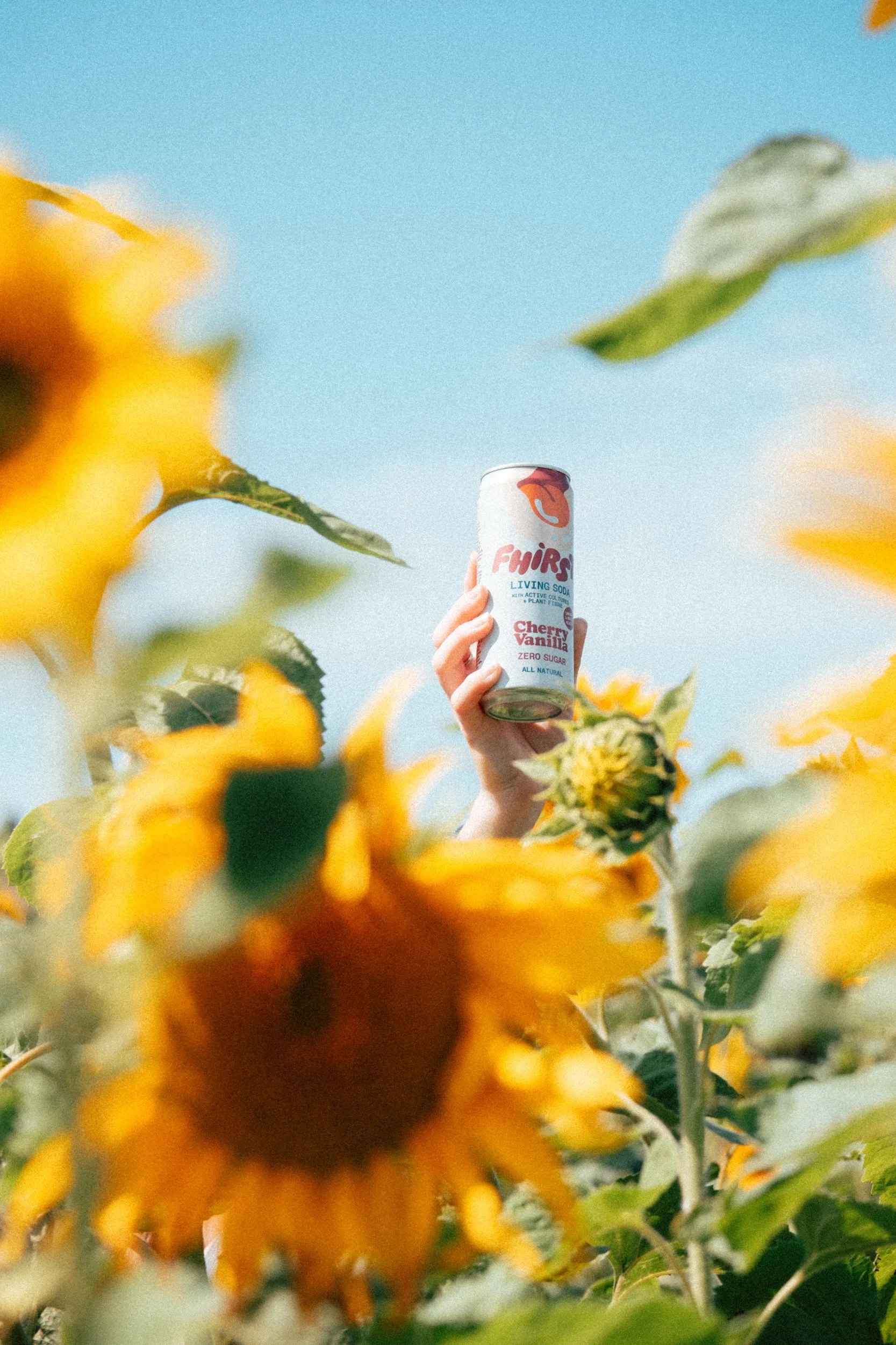 Fhirst - DSCF2919.jpg